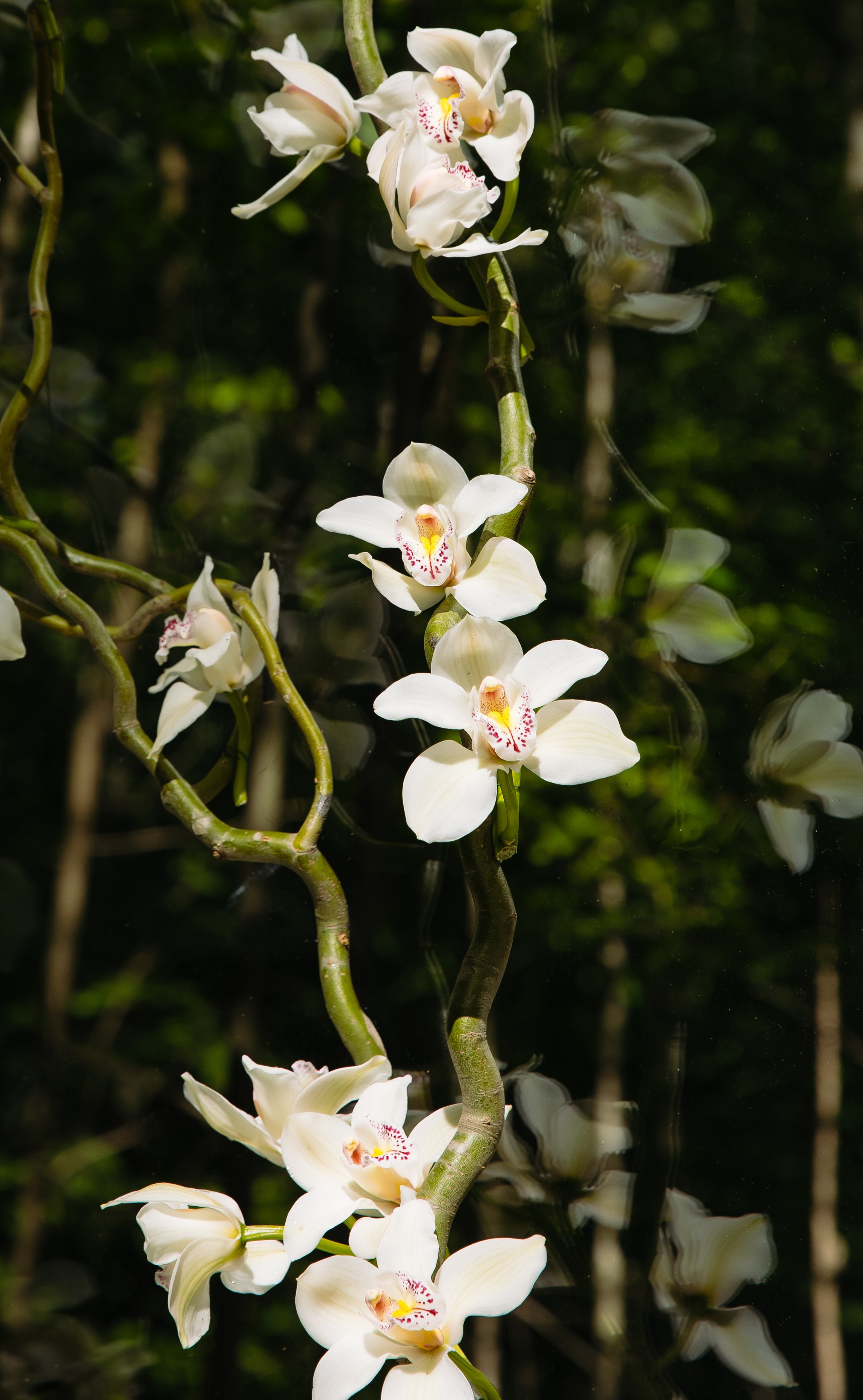 Анна и Сергей. Свадебный и портретный фотограф в Москве и Санкт-Петербурге