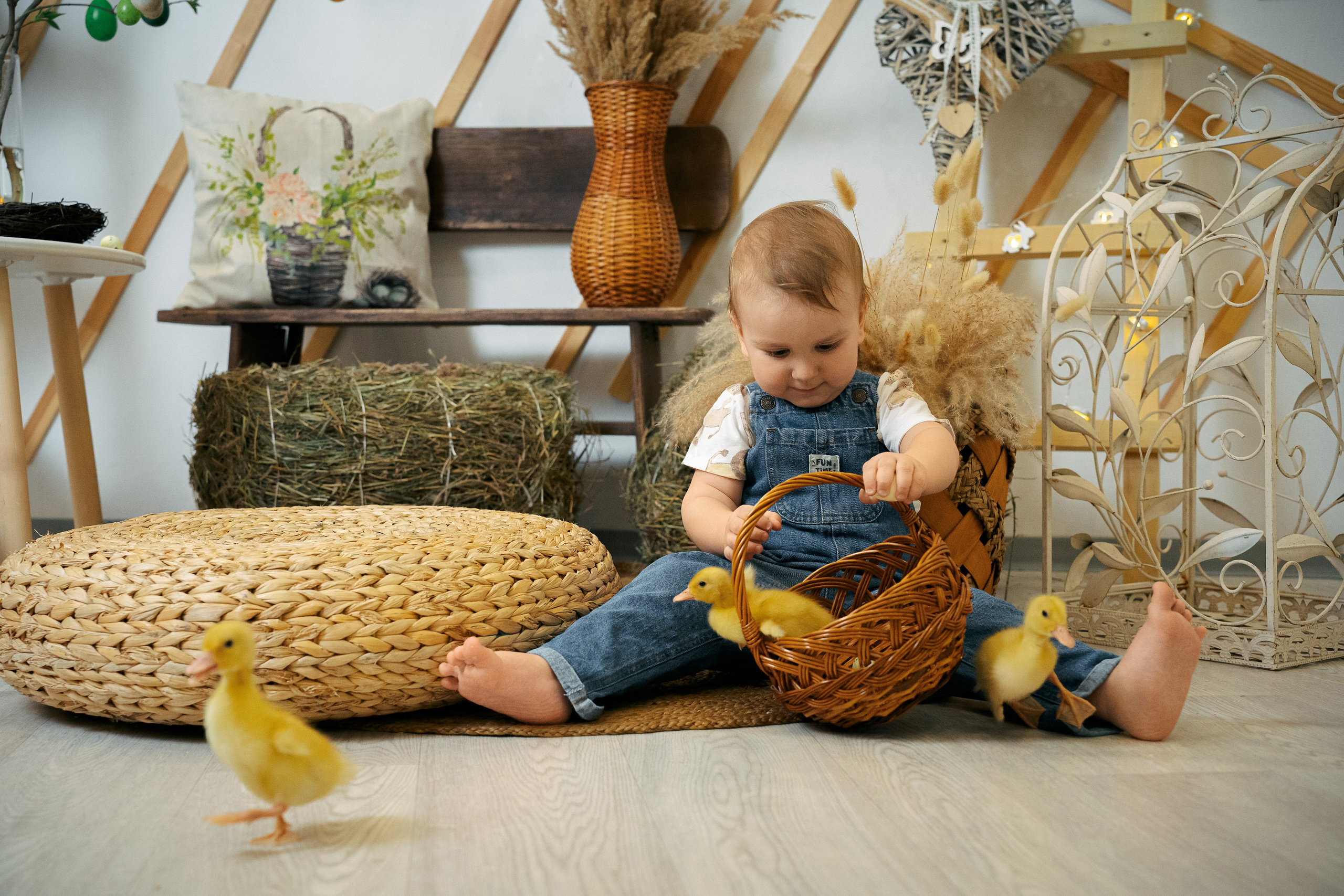 Утята. Фотограф Казакова Анастасия