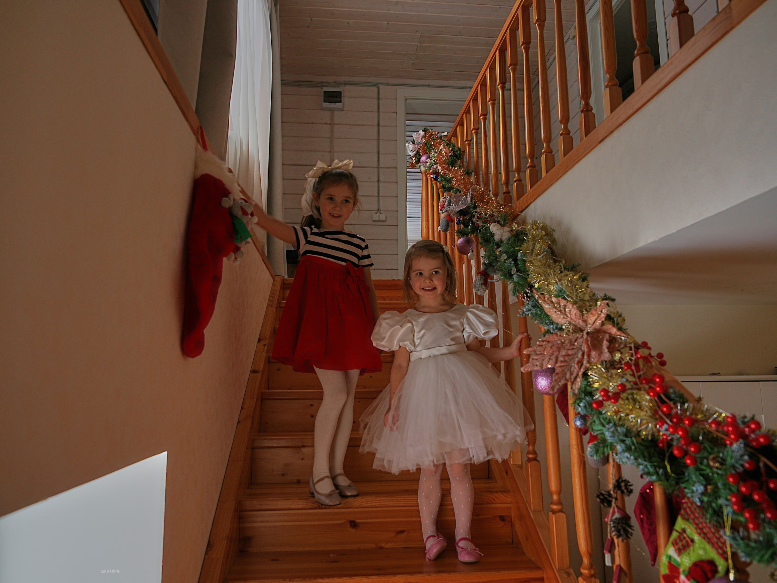 Новый год 2026. Фотограф Михеев Андрей