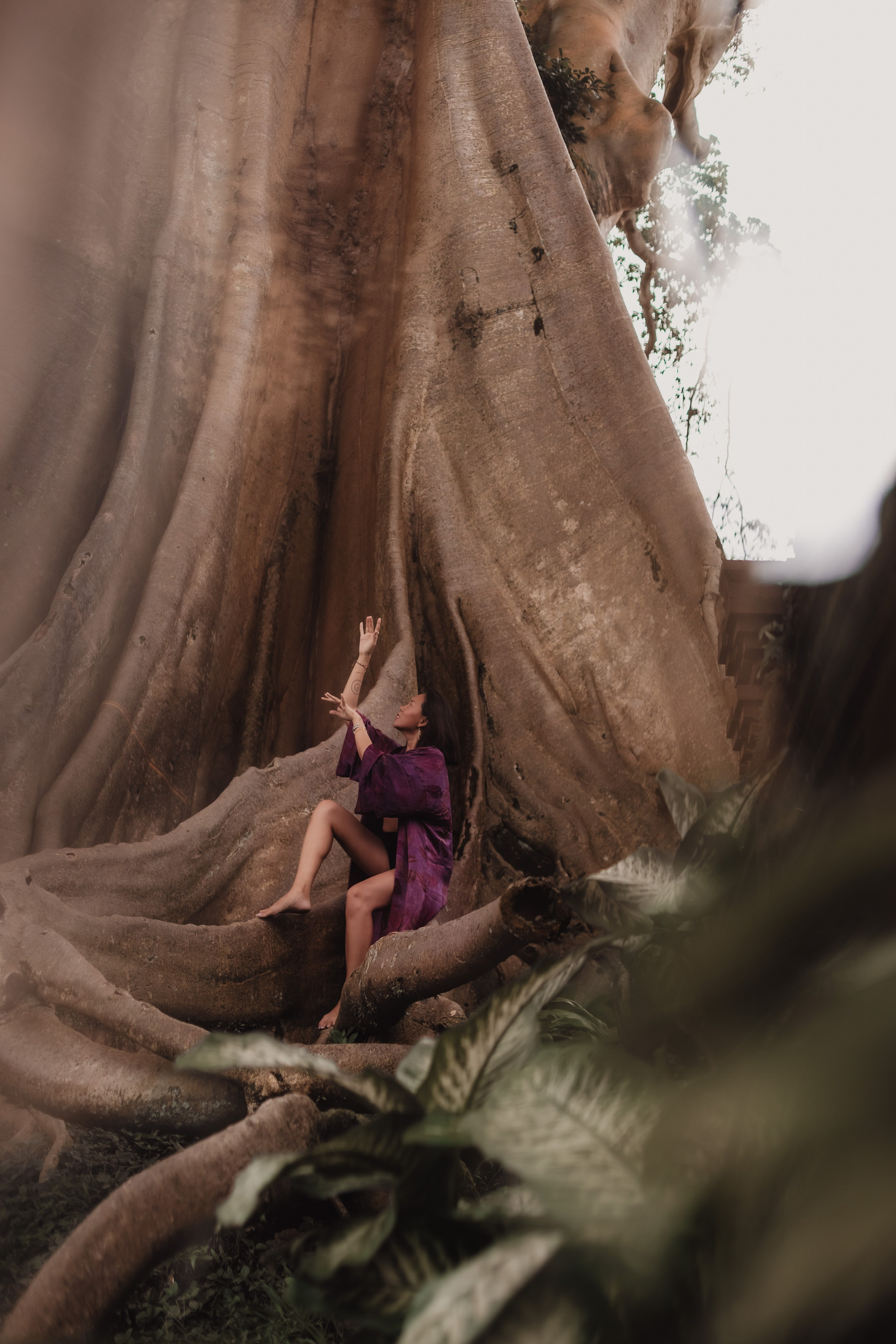 Banyan date. Mariam Bagdasaryan