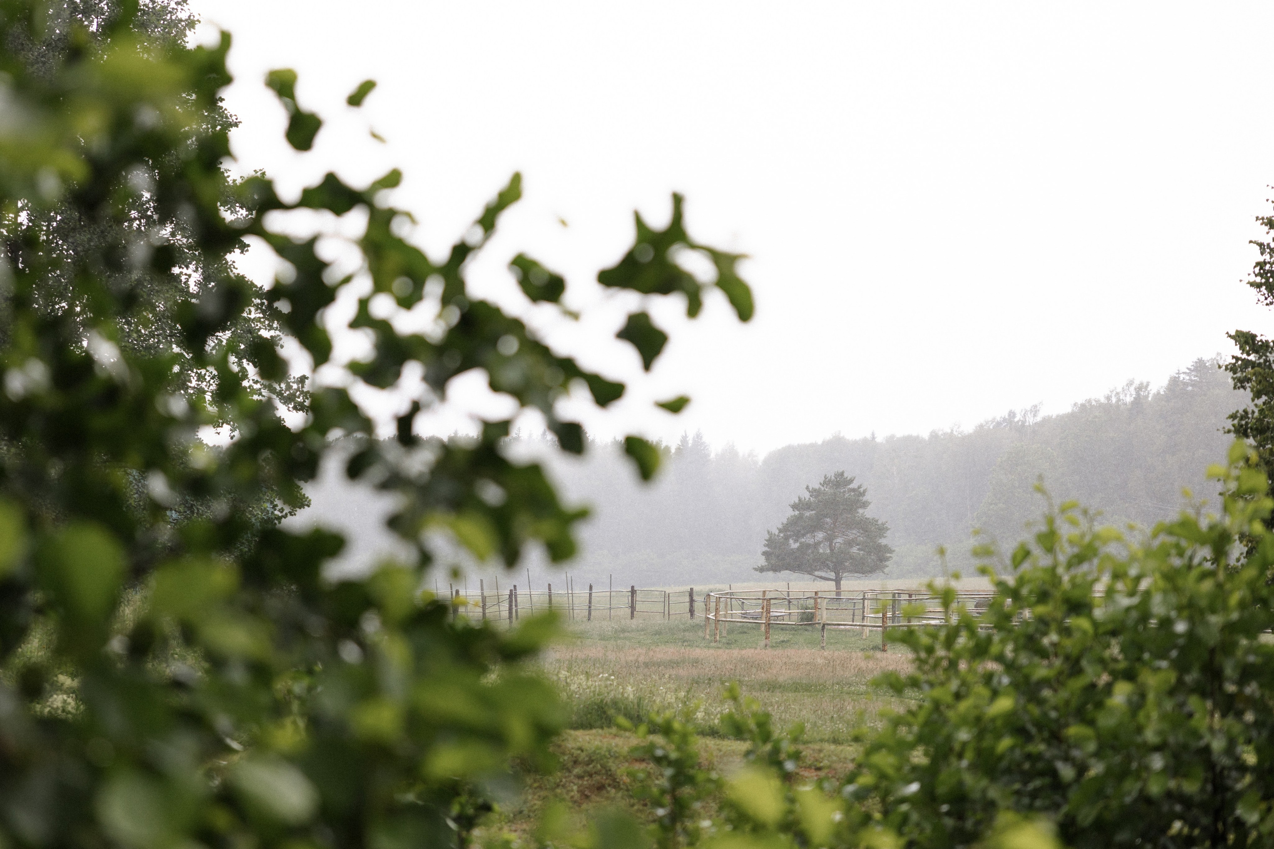 COUNTRY CLUB. Анастасия Мелёхина Фотограф Москва, Свадебный фотограф Москва