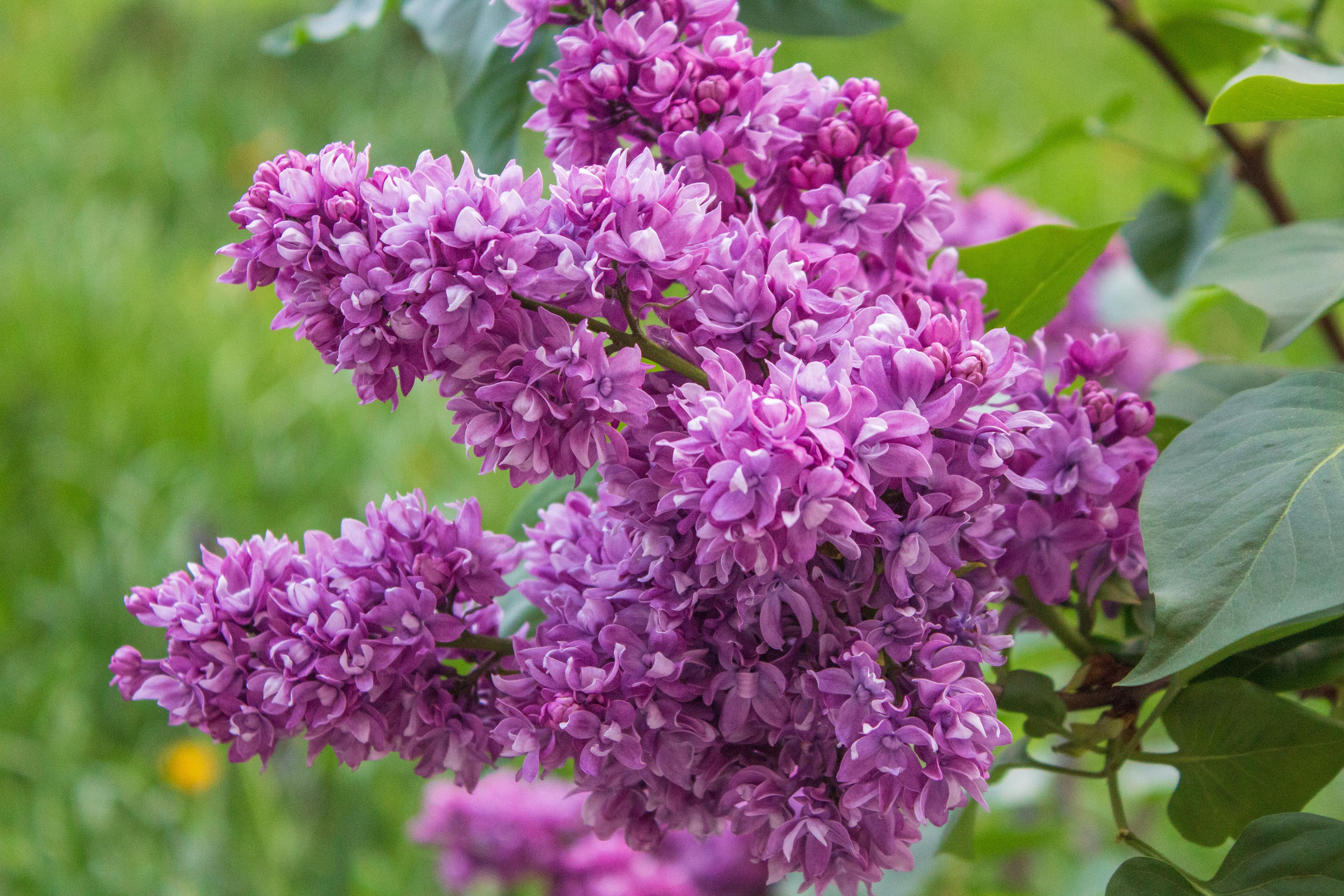 Фотопрогулка Анны. Фотограф для вас и вашего бизнеса в Москве Альбина Никифоров