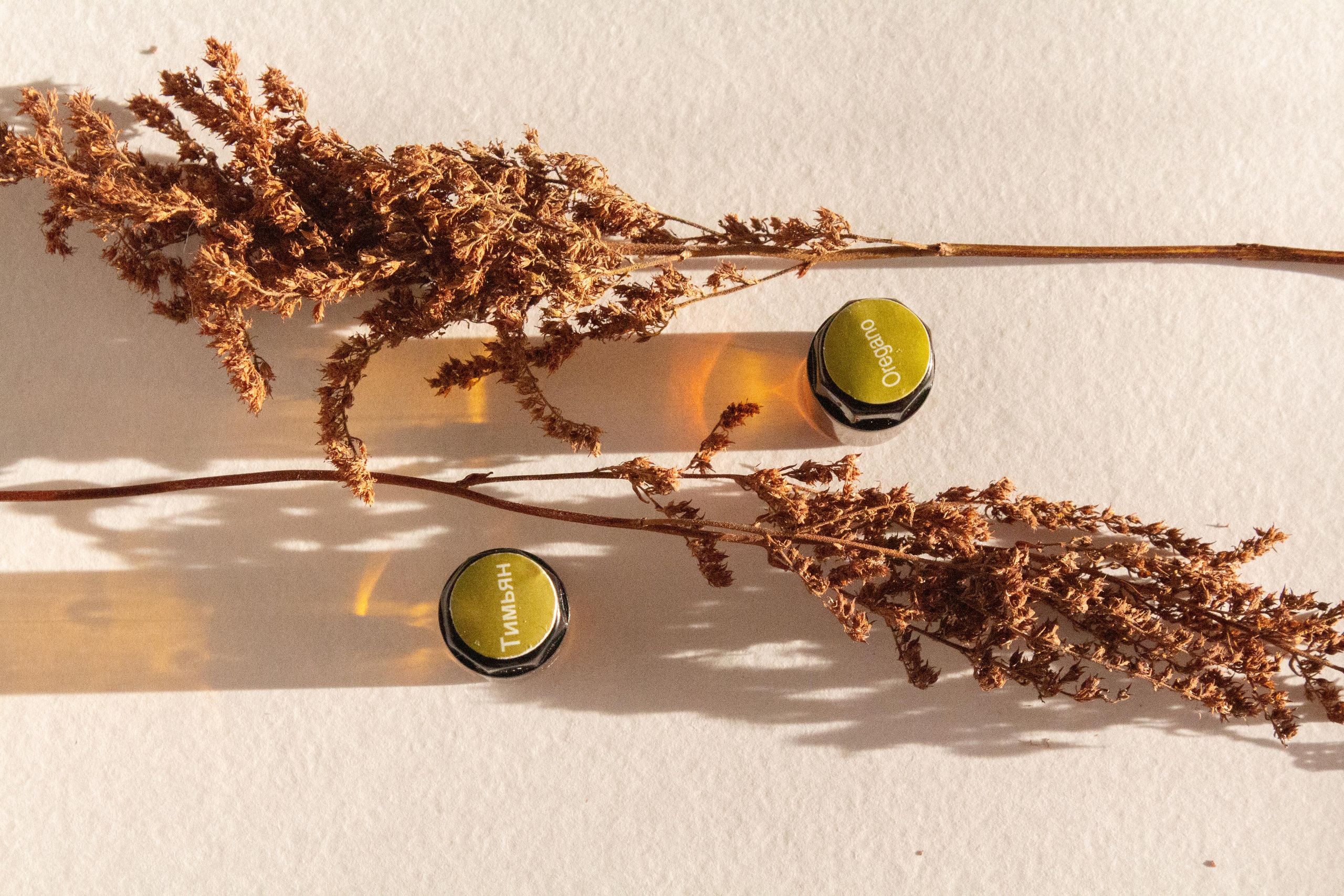 Фотограф для вас и вашего бизнеса в Москве Альбина Никифоров