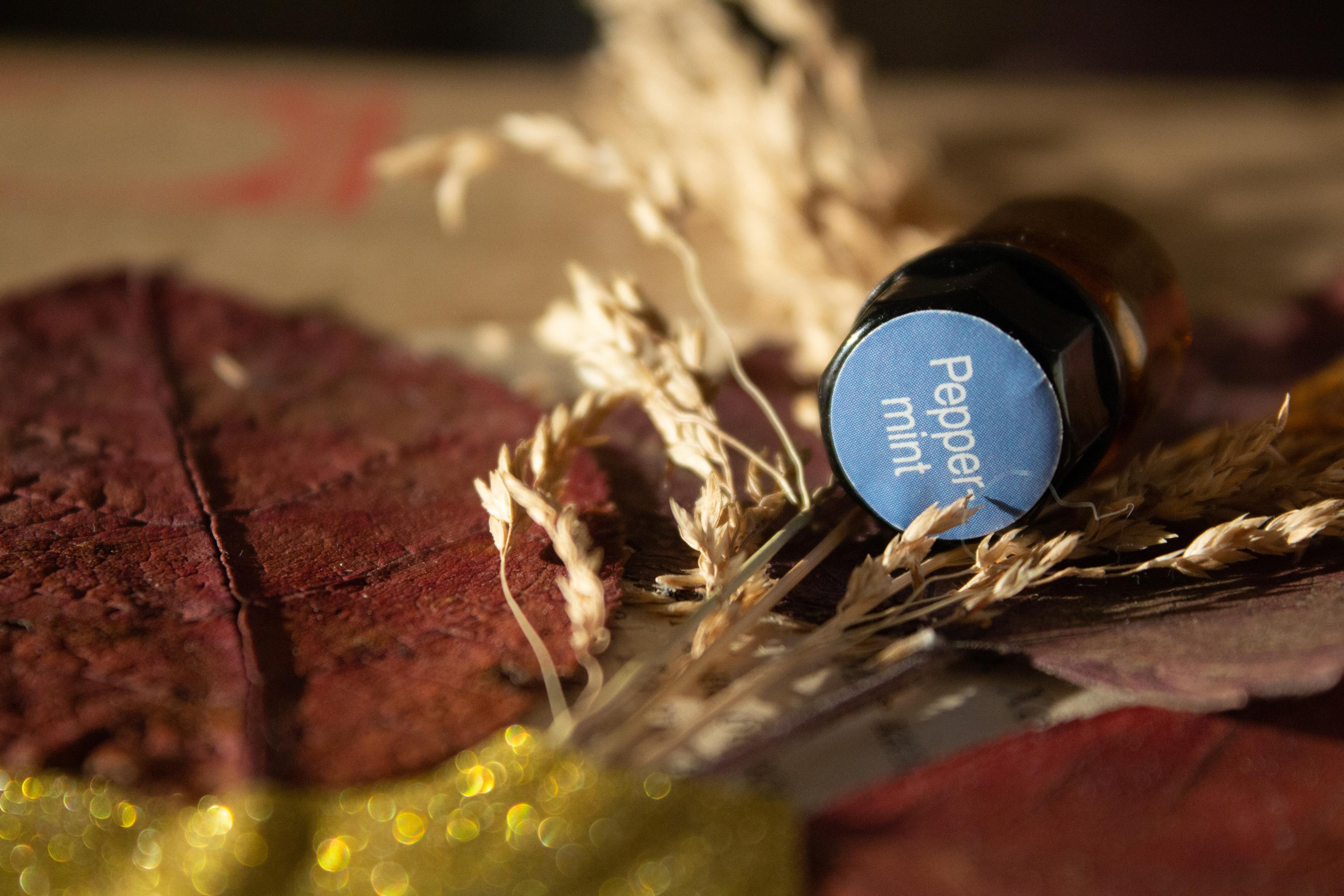 Фотограф для вас и вашего бизнеса в Москве Альбина Никифоров