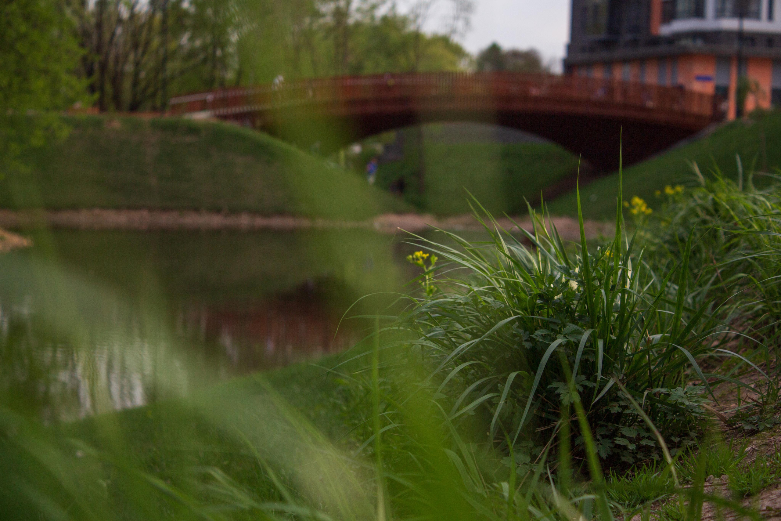 Фотопрогулка Анны. Фотограф для вас и вашего бизнеса в Москве Альбина Никифоров
