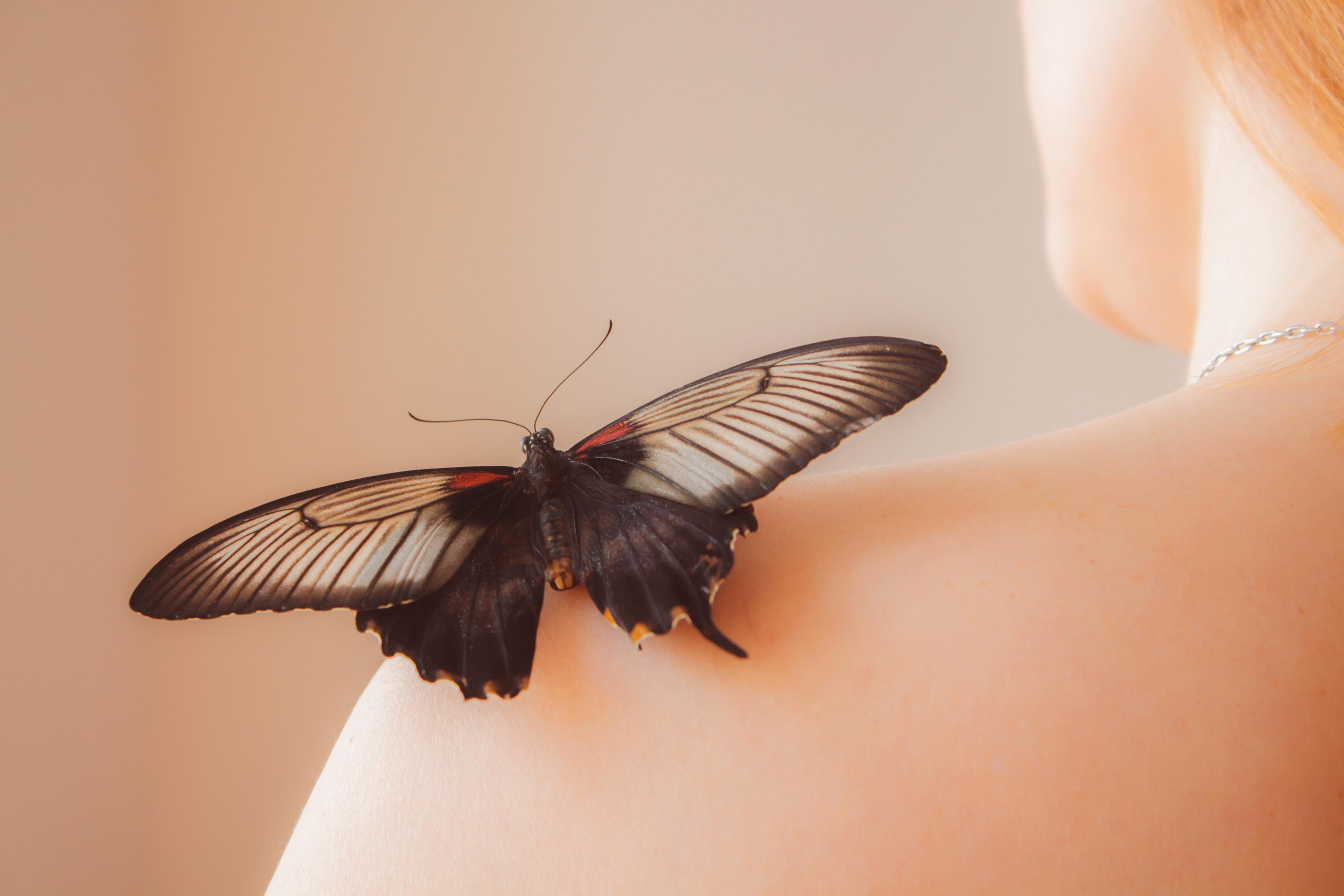 Фотограф для вас и вашего бизнеса в Москве Альбина Никифоров