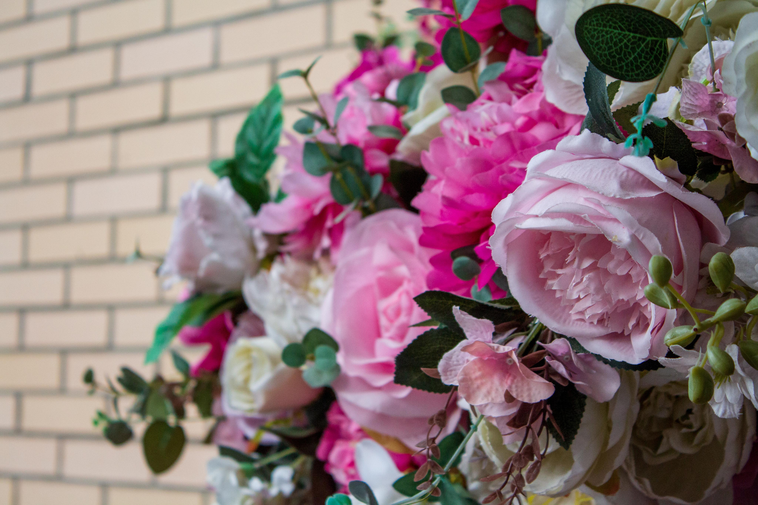 Фотопрогулка Анны. Фотограф для вас и вашего бизнеса в Москве Альбина Никифоров