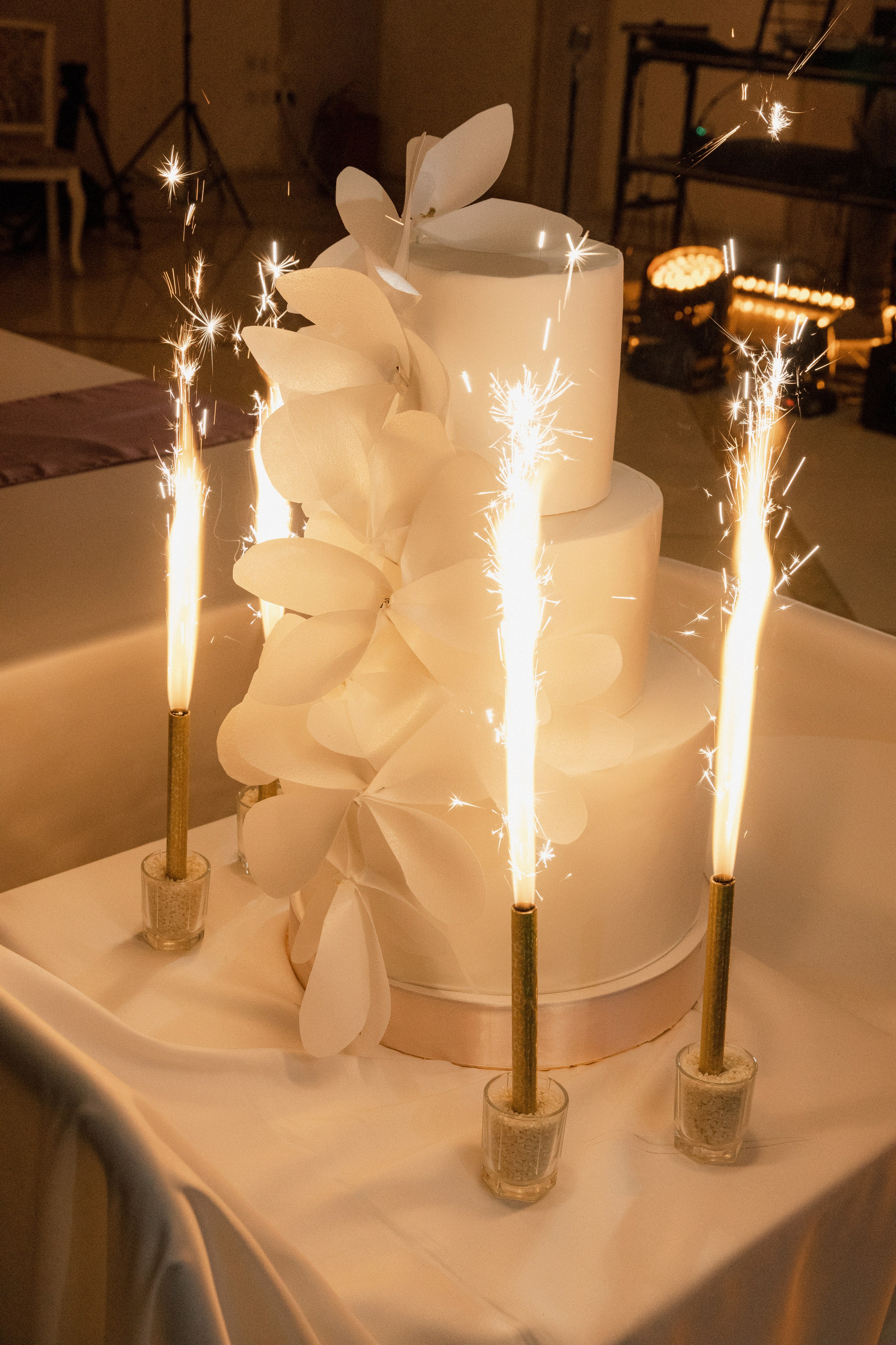 Дмитрий + Екатерина. Свадебное фото и видео в Липецке. Павел Покидов, Елена Покидова