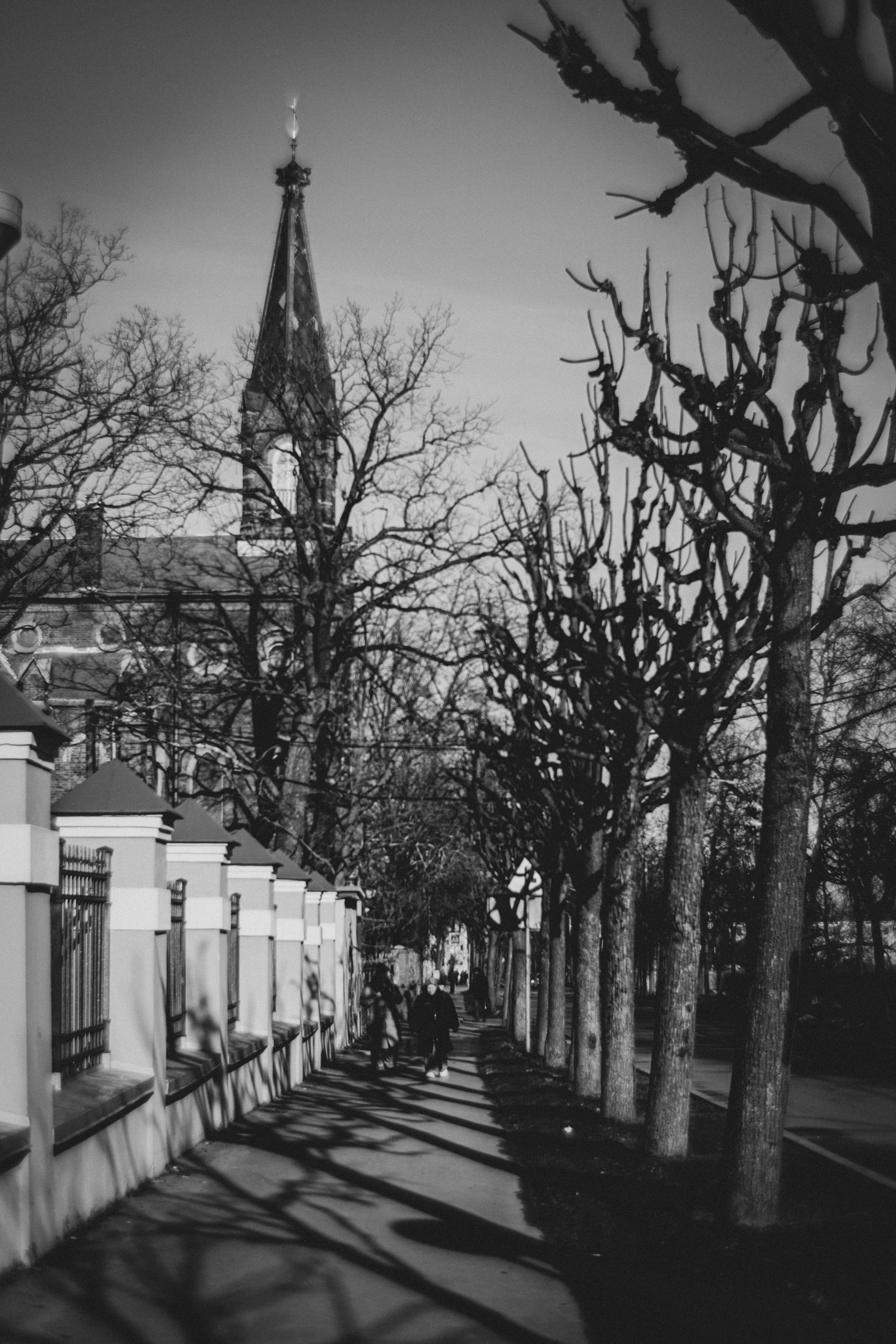 Пейзажи и архитектура. Фотограф Софья Разумовская