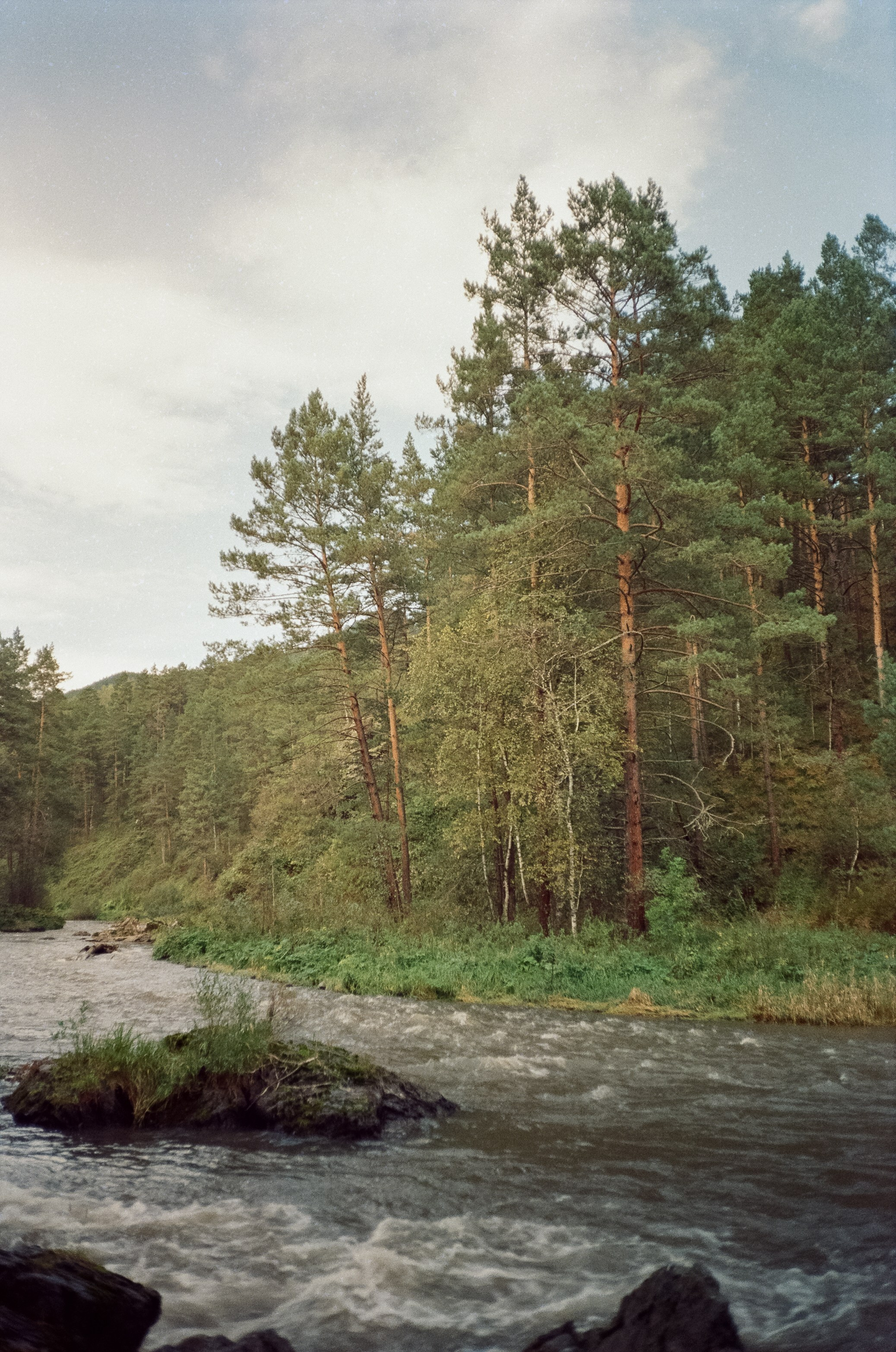 Горно-алтайский ботанический сад