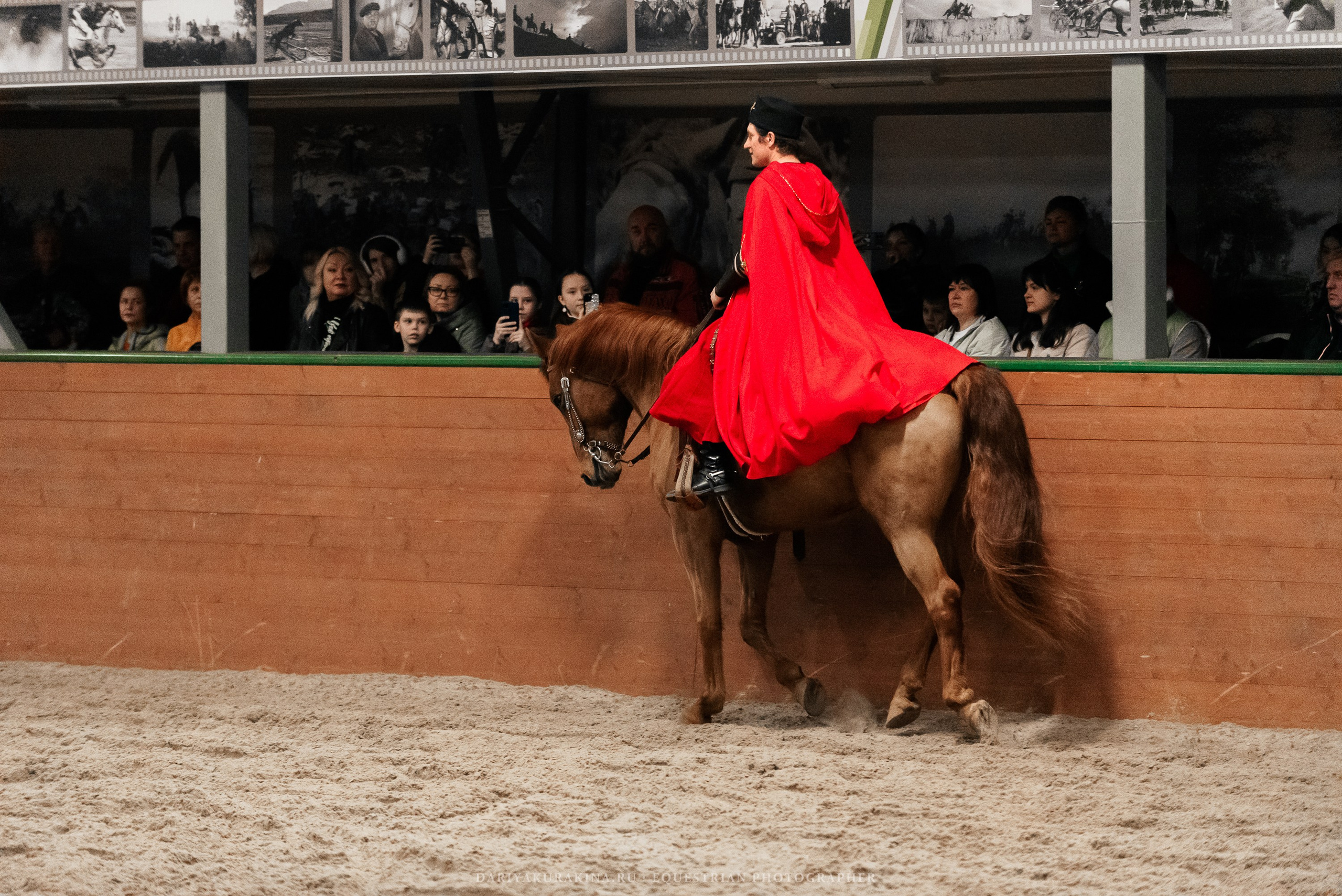 Конное представление «Дыхание Звёзд». Конный фотограф Куракина Дарья • Фотосессии с лошадьми