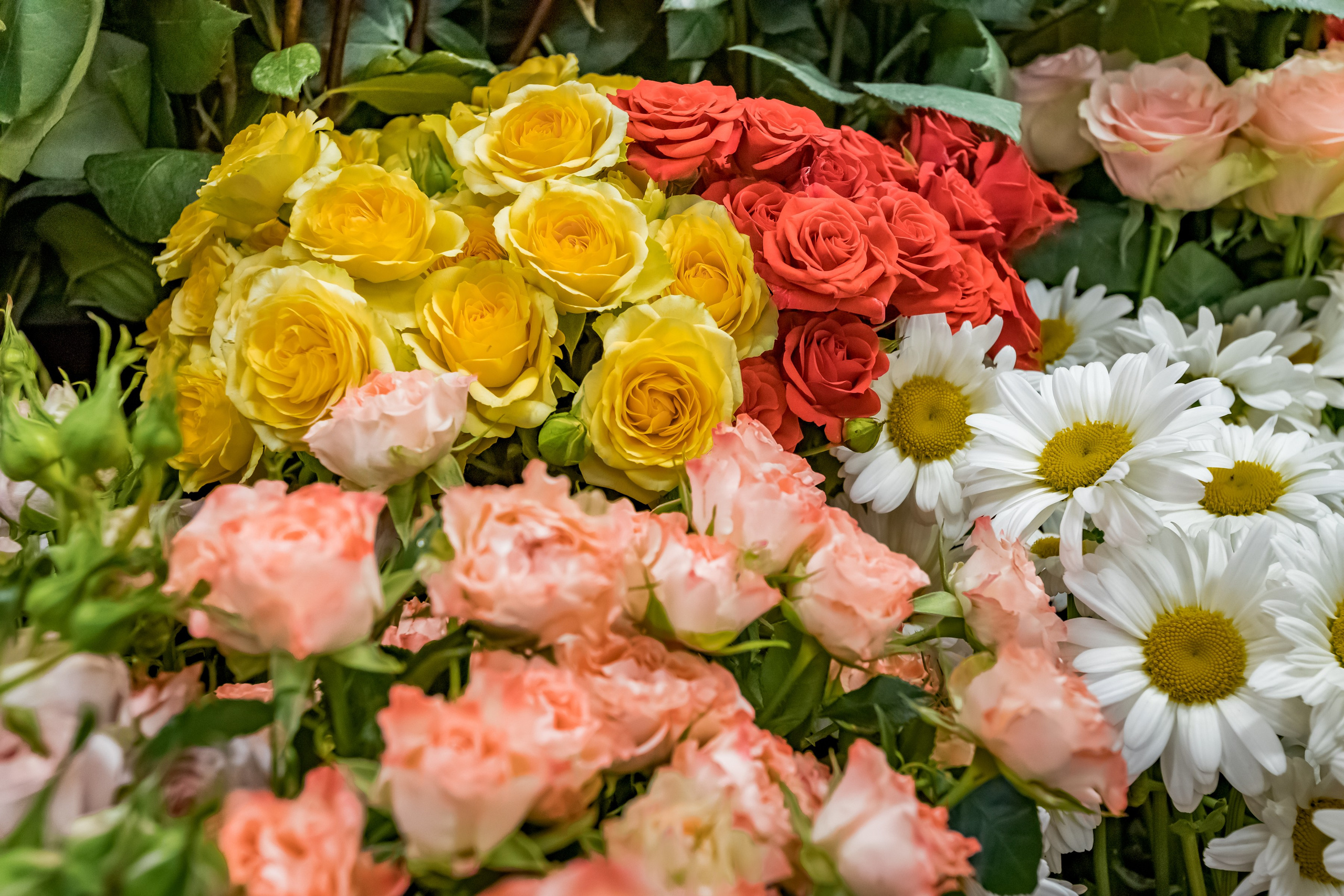 Цветочный магазин Any Flowers. Интерьеры, Контент, Портреты | Фотограф в Москве Дани Терно