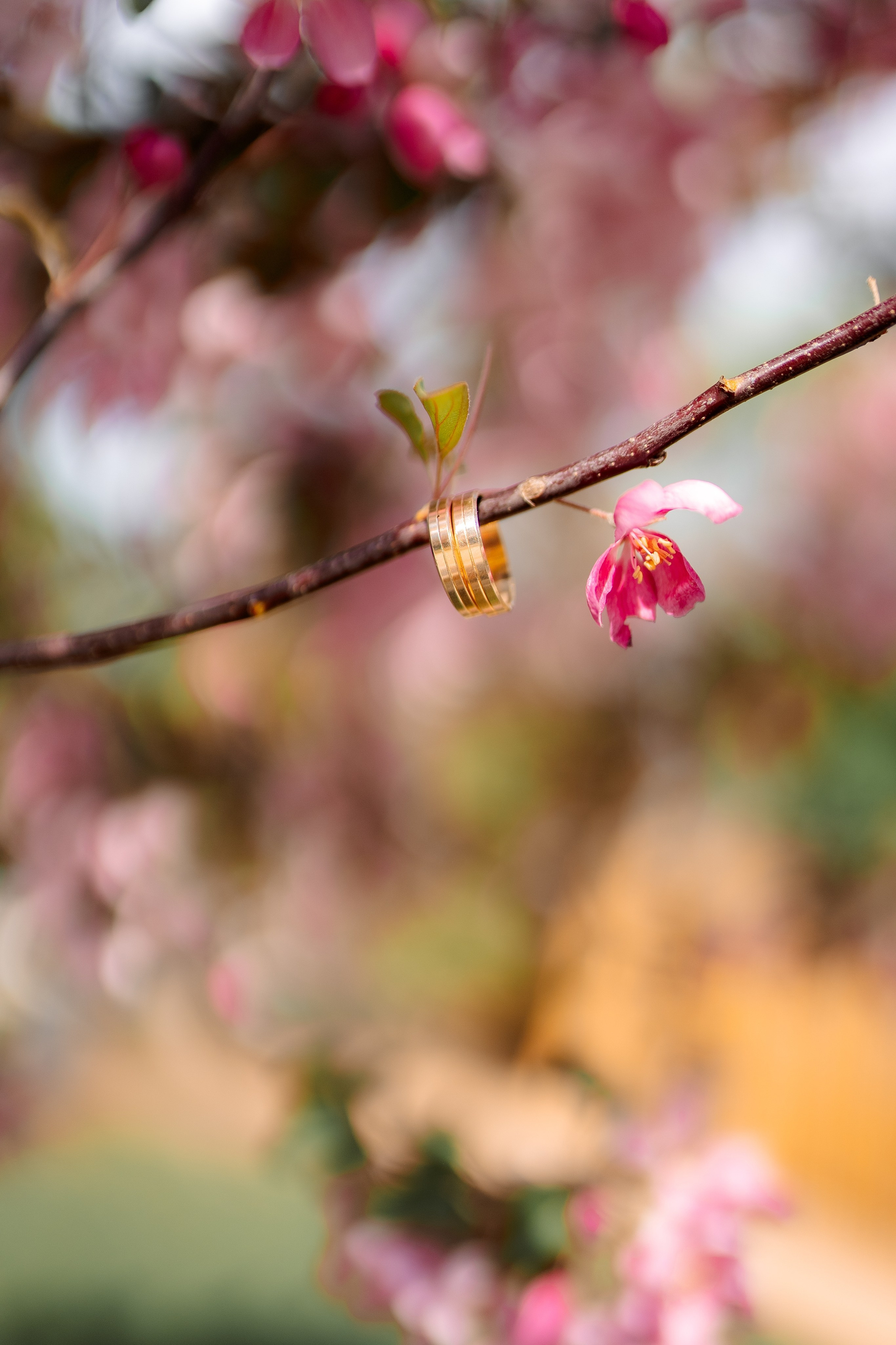 Парк. Фотограф Мария Зайчик