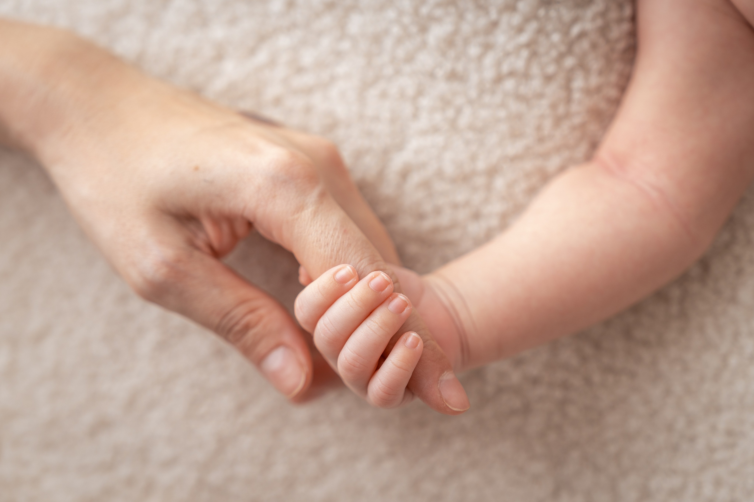 Newborn. Фотограф новорожденных в Москве, Зеленограде, МО, Дмитриева Дарья