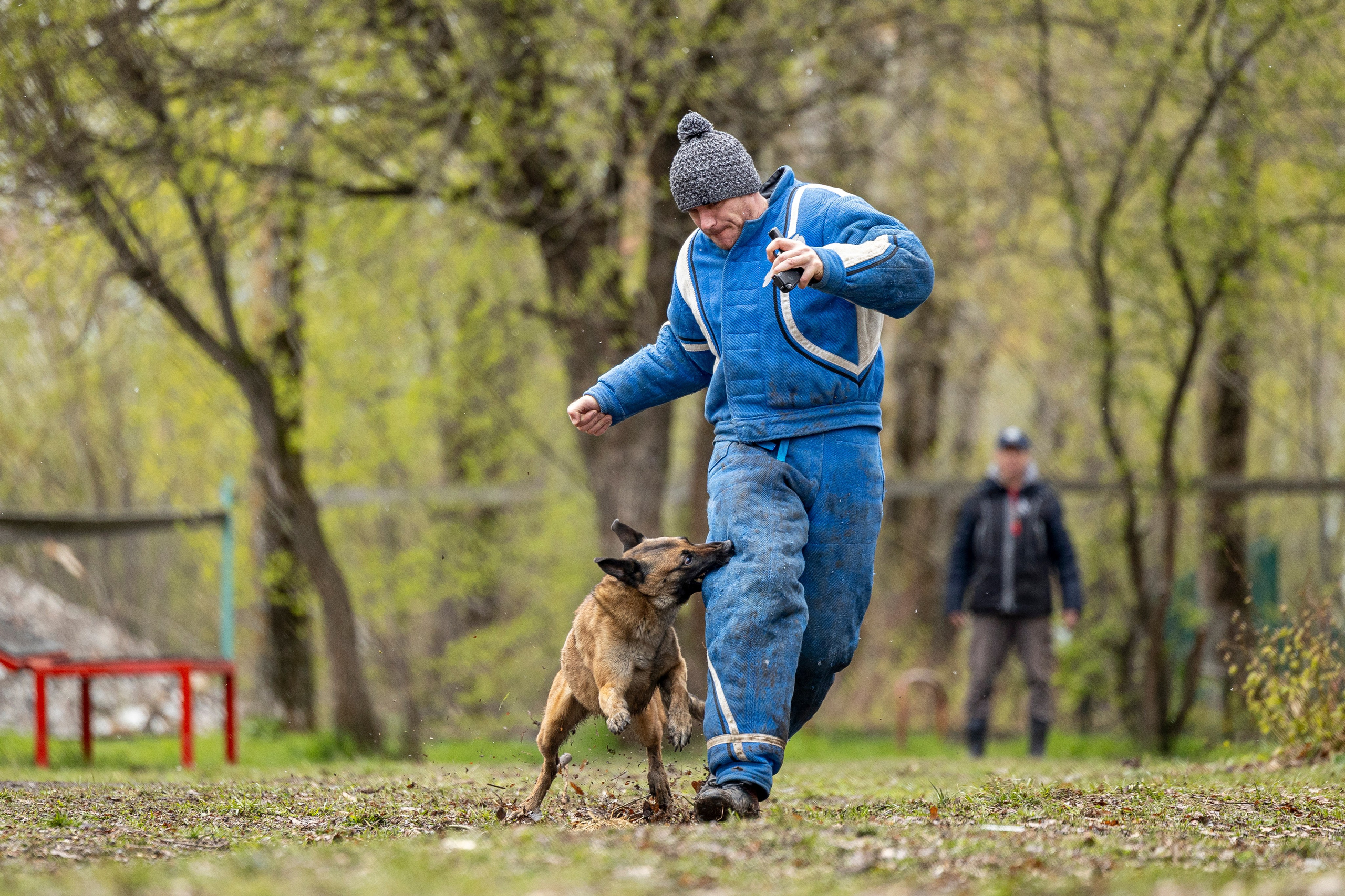 Квалификационные состязания по мондьорингу г. Вологда 11.05.24. Фотограф-анималист Анна Маринич