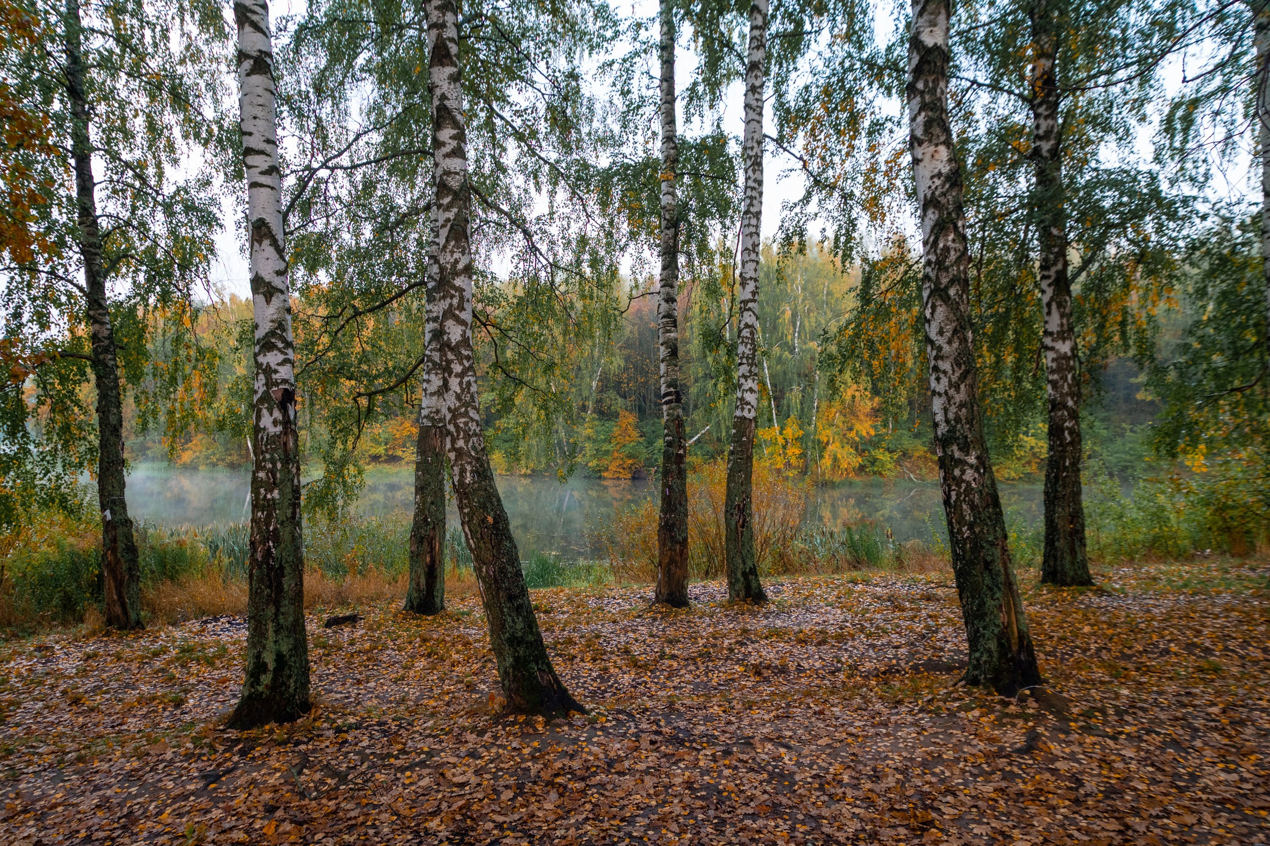 Озеро Грумант. Фотограф и видеооператор в Туле | Даниил Рыбак