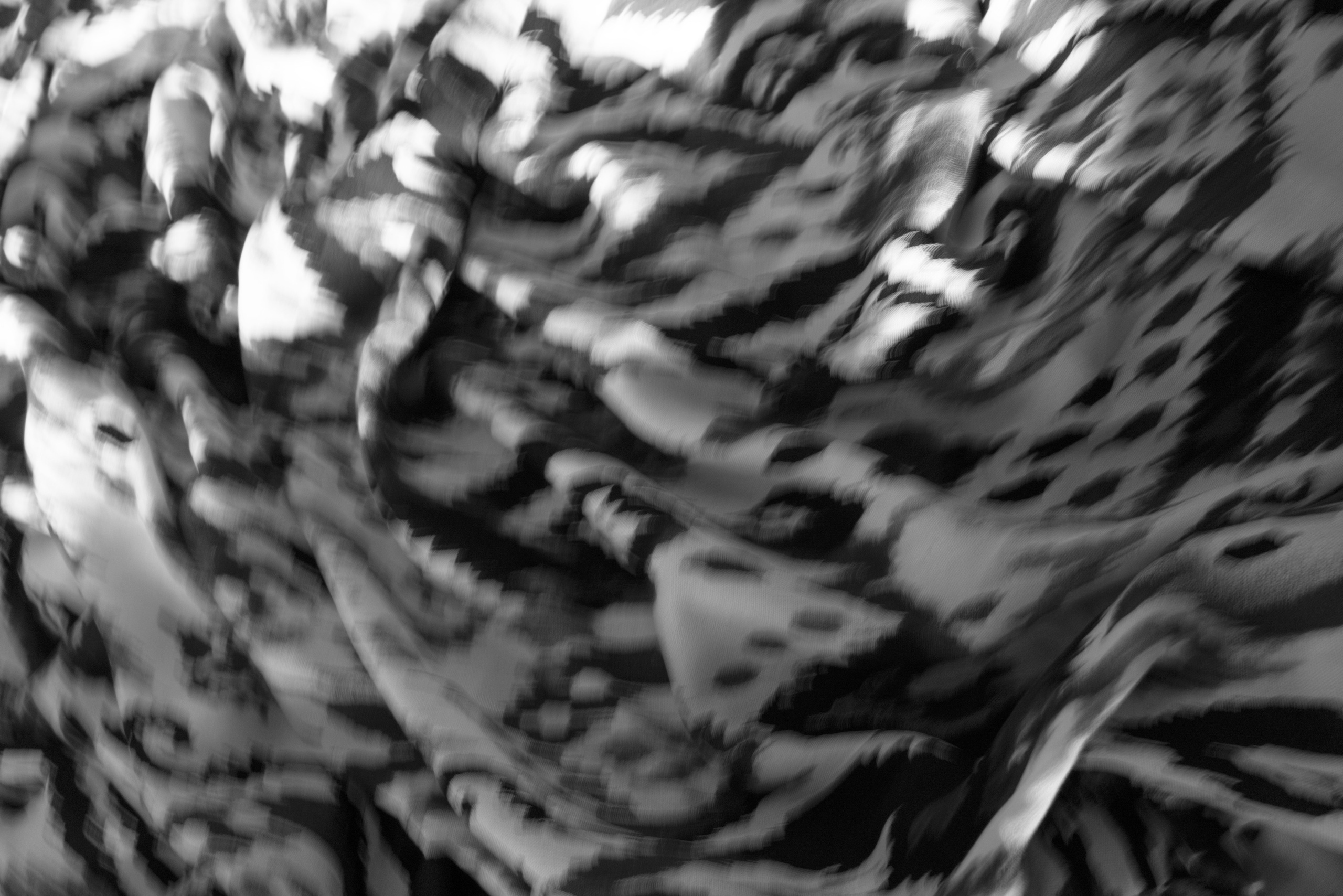 Мир тропы. Tatiana Mishchenko