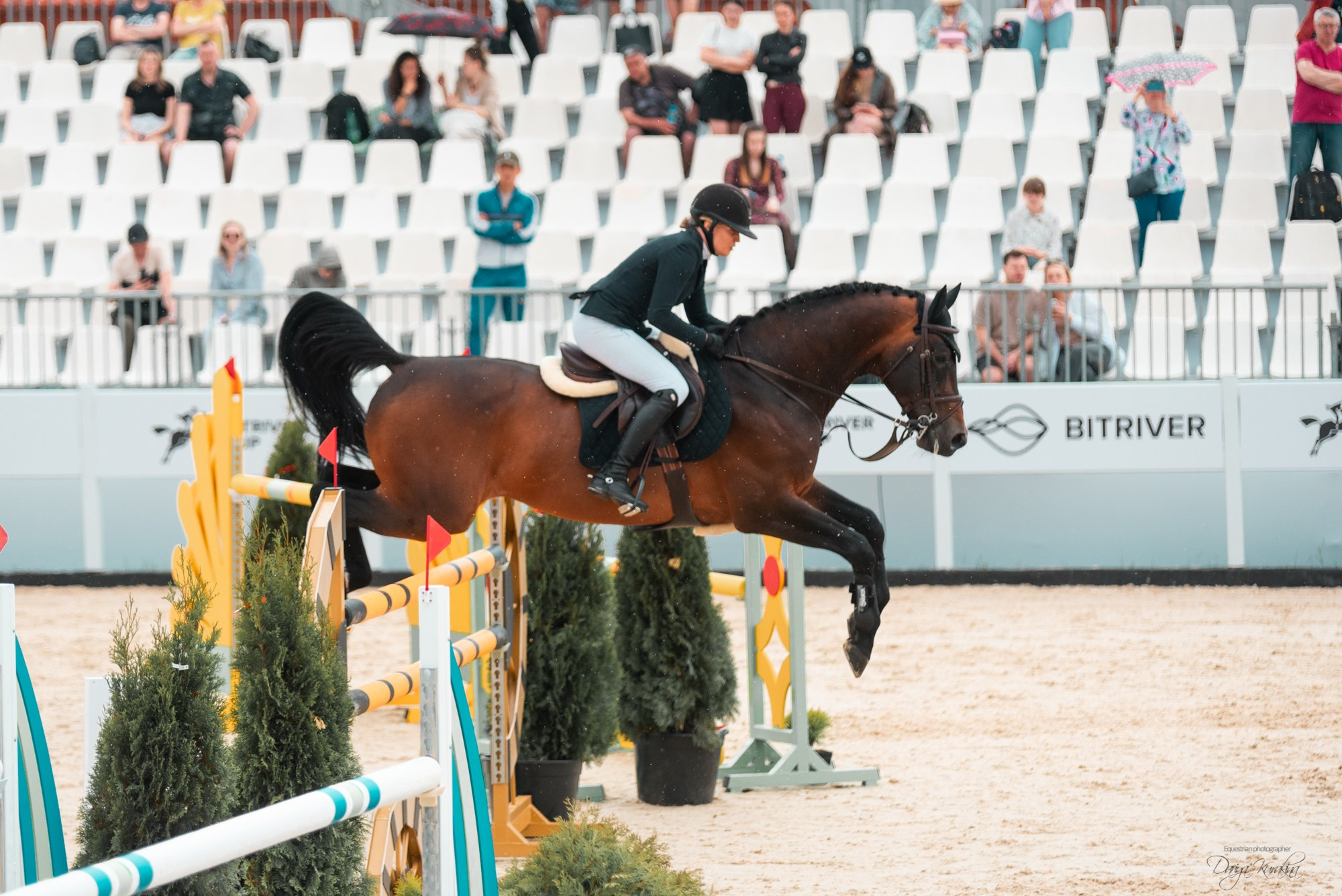 BITRIVER CUP 2023. Конный фотограф Куракина Дарья • Фотосессии с лошадьми