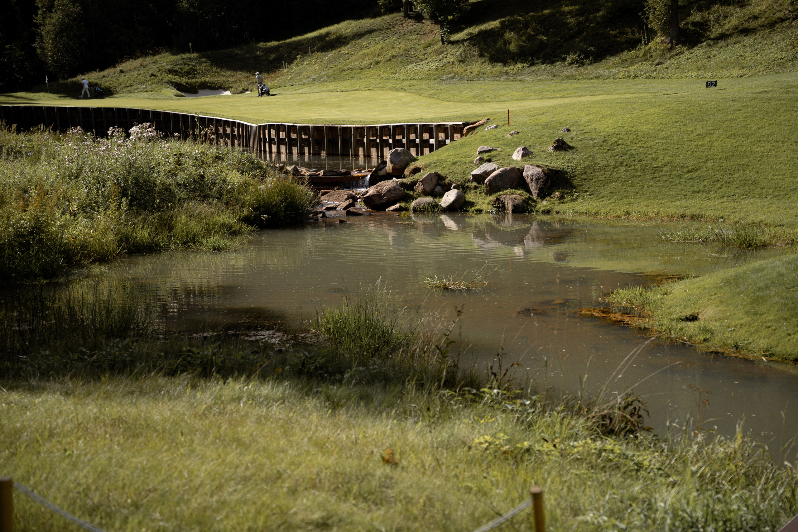 Целеево. Семейный и портретный фотограф в Саратове Сахарова Маша