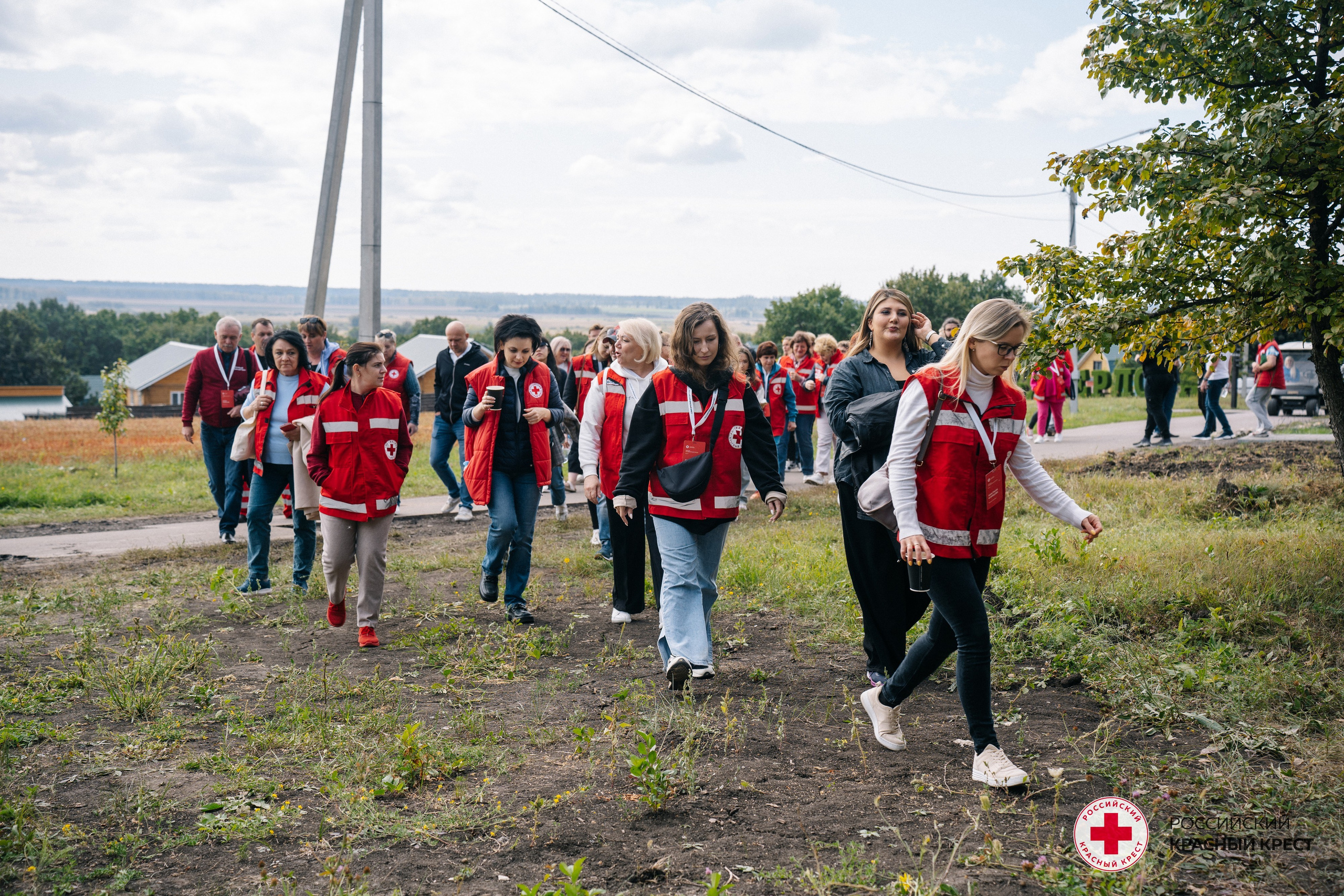 Красный крест | Дегас, медвежья берлога. Фотограф в Воронеже Ольга Космодемьянская