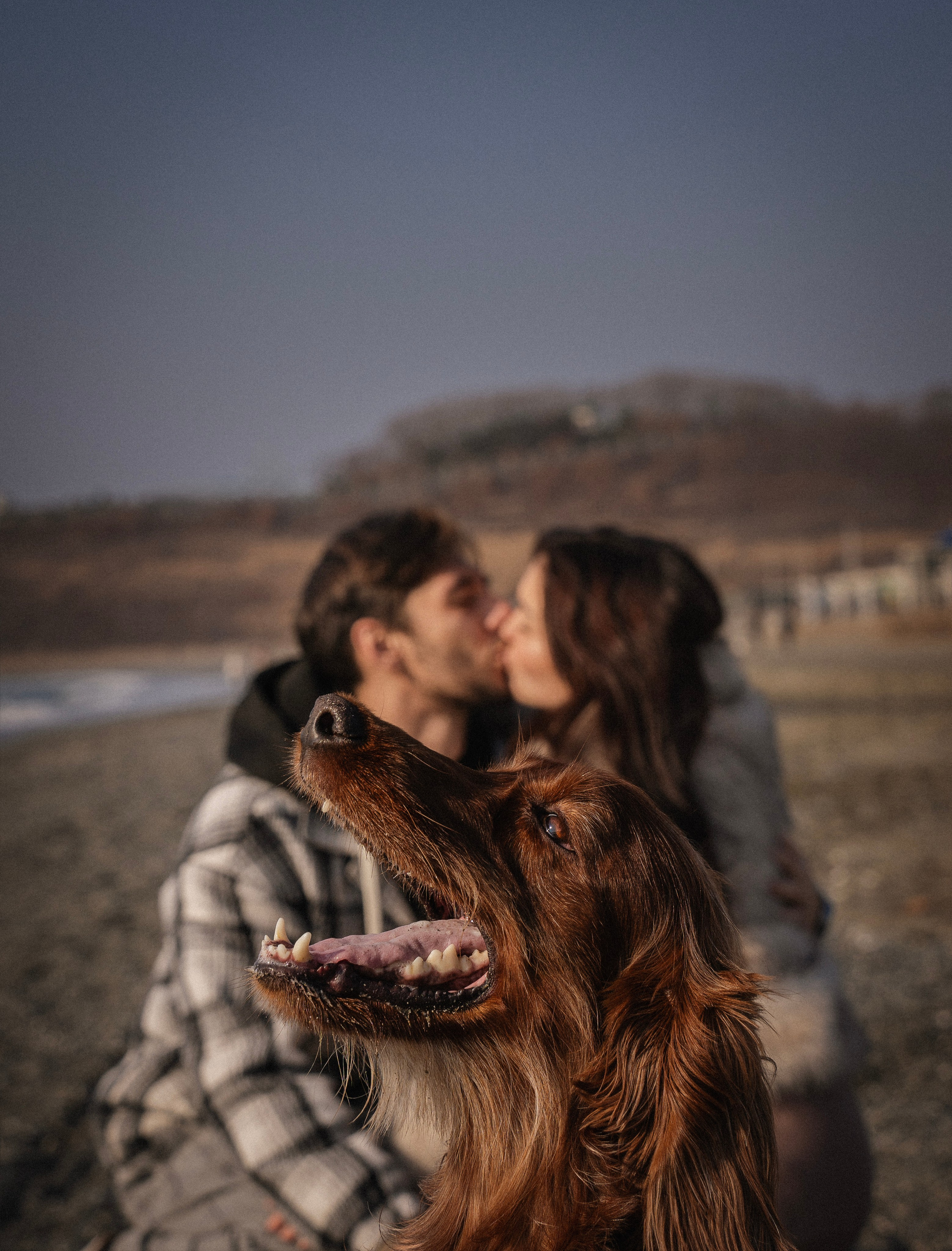 Love Story. Семейный фотограф анималист г. Находка