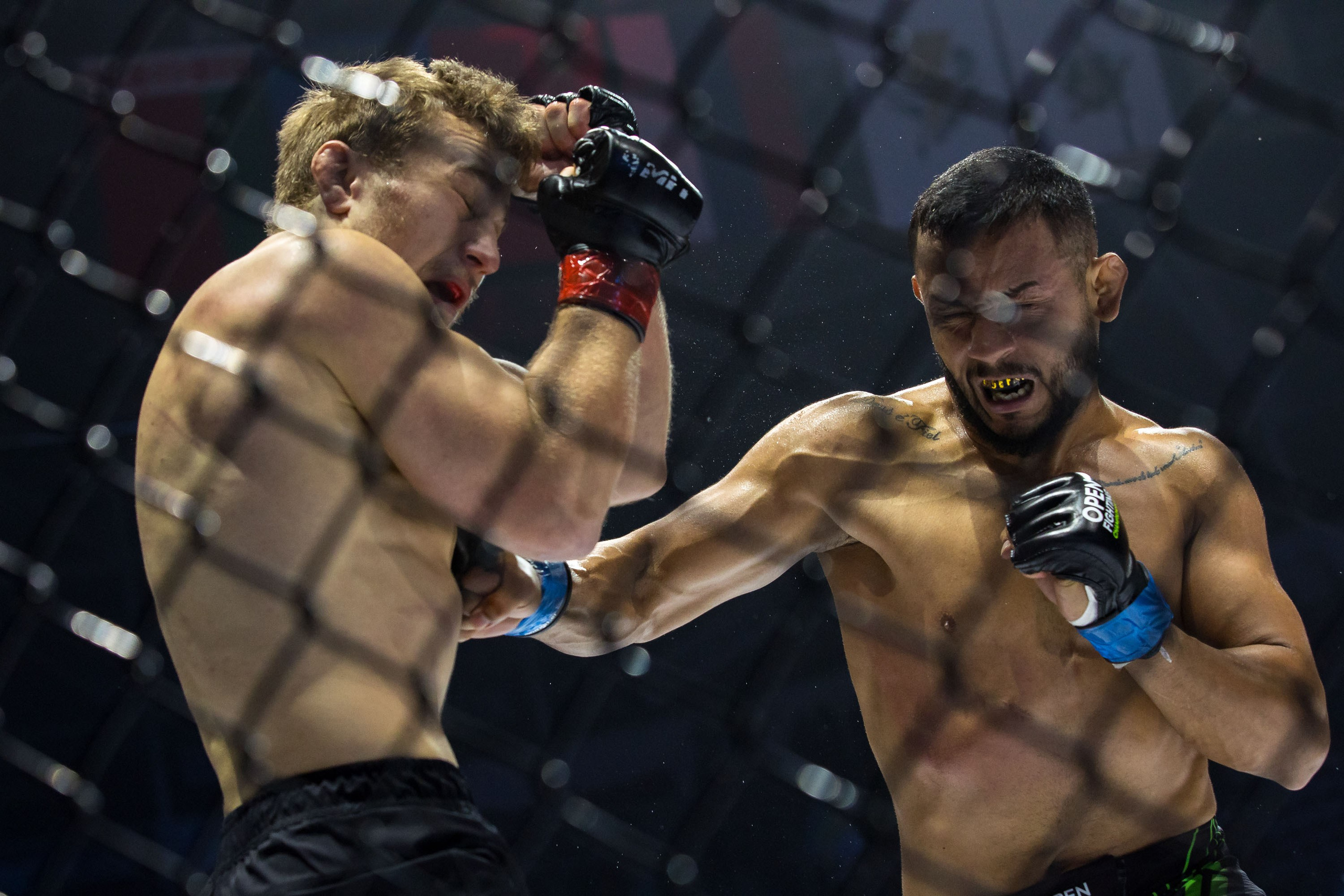 MFP 244. Репортажный фотограф во Владивостоке