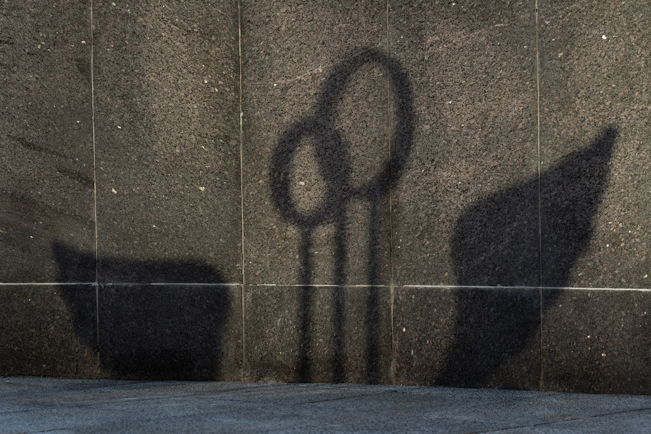 20250830 Полянка — Арбатская. Дмитрий Ремизов. Фотография, как хобби