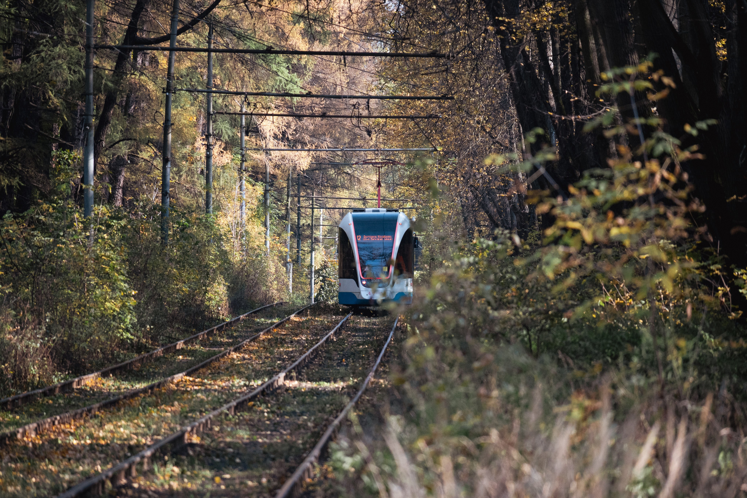 20241012 Измайлово. Дмитрий Ремизов. Фотография, как хобби