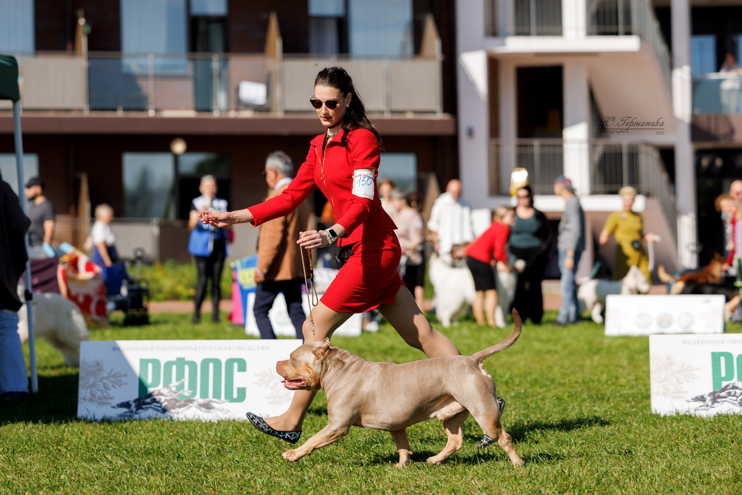 Переславль 5-7.08.2025. Фотограф-анималист Юлия Германика