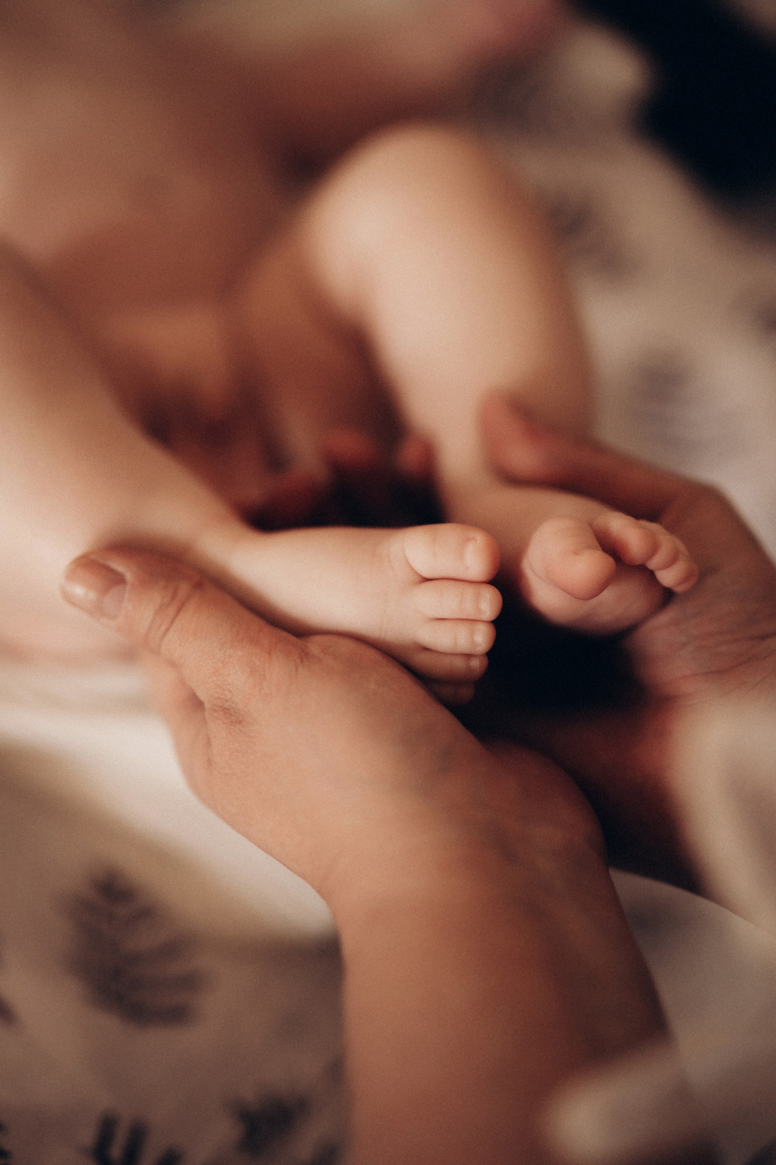 Лев. Алёна Хомич. Свадебный и семейный фотограф Коломна, Москва