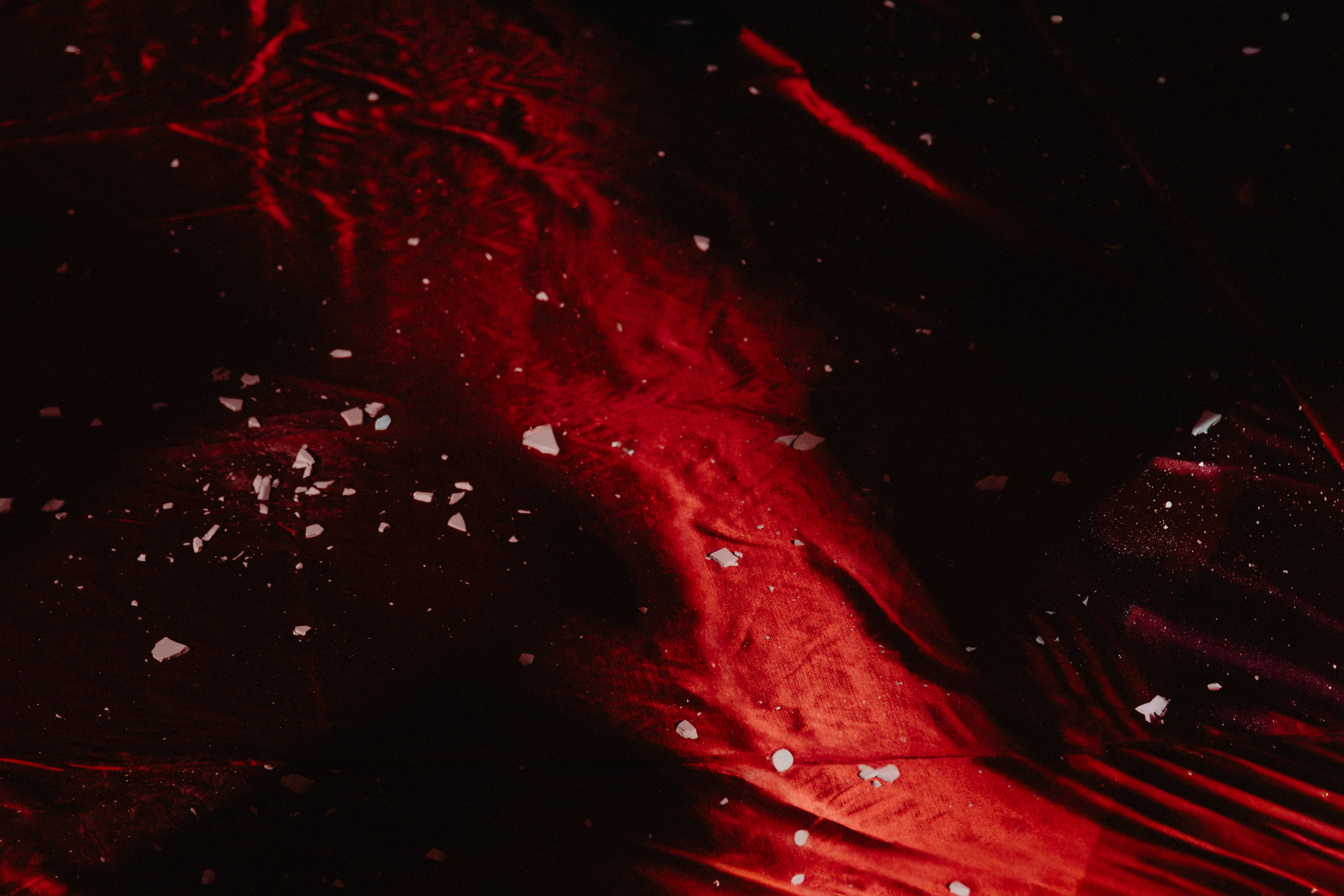 Свадьба во дворце. Фотограф Муратова Алена