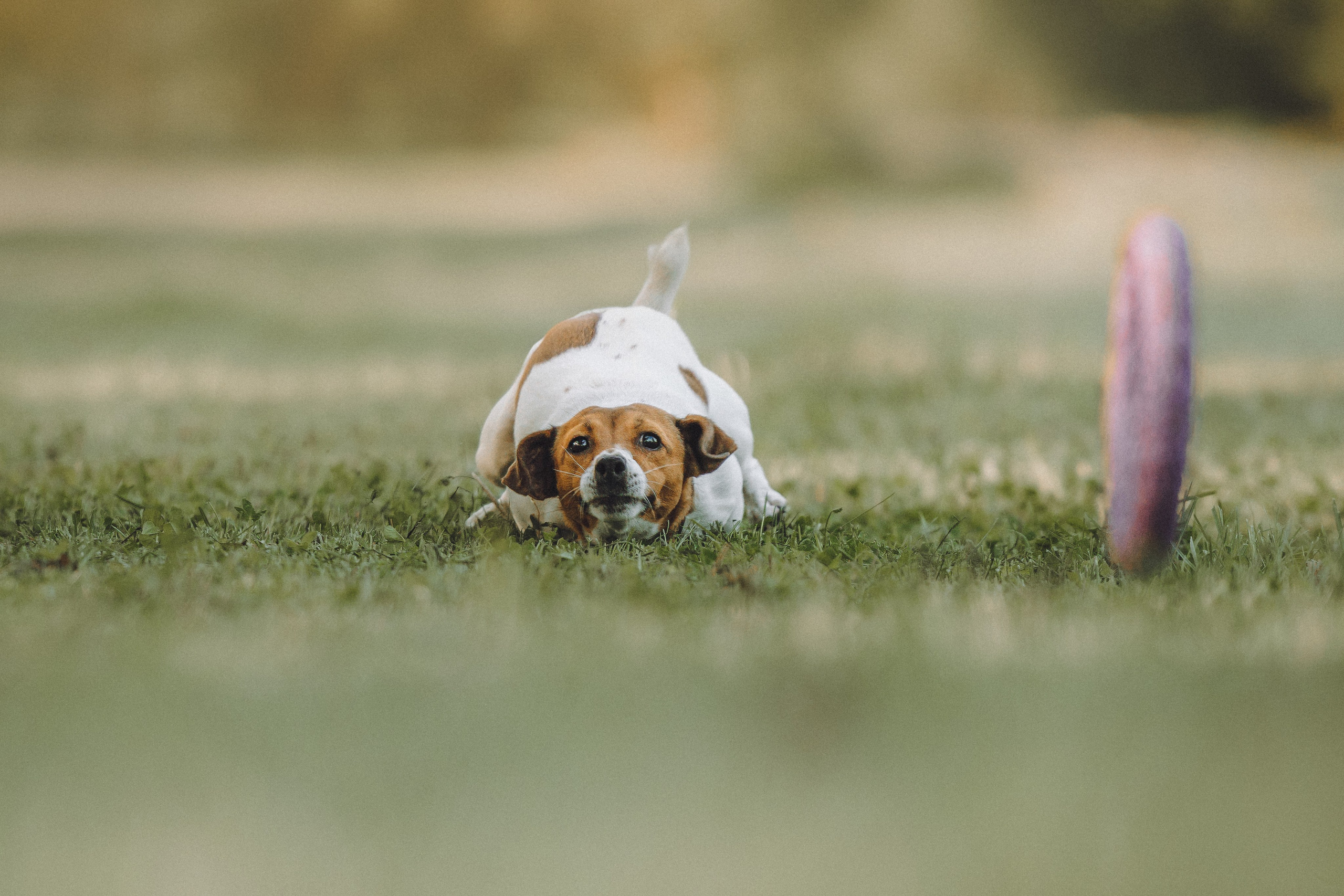 Шерри и ее семья