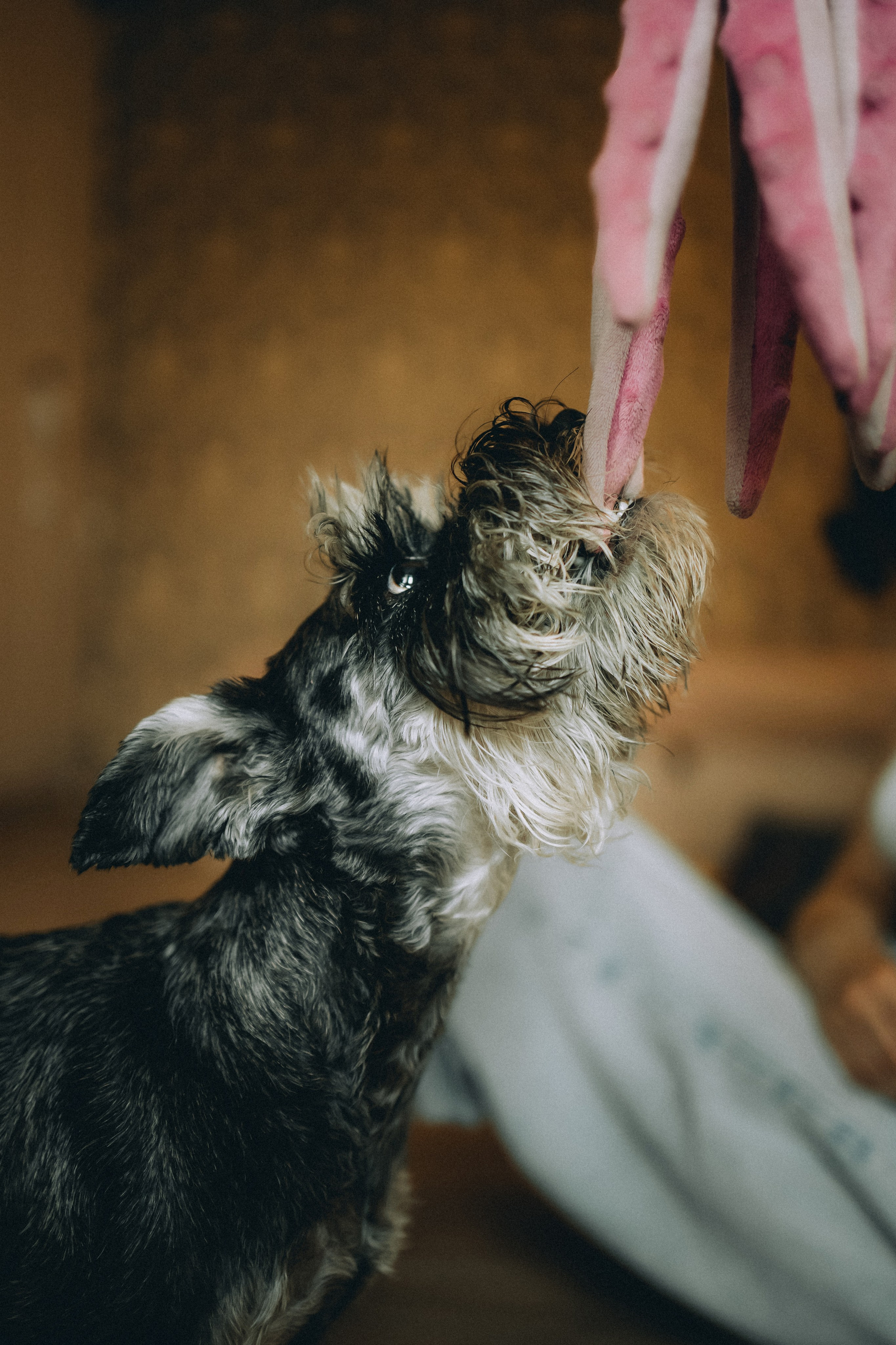 Лена и Зефир