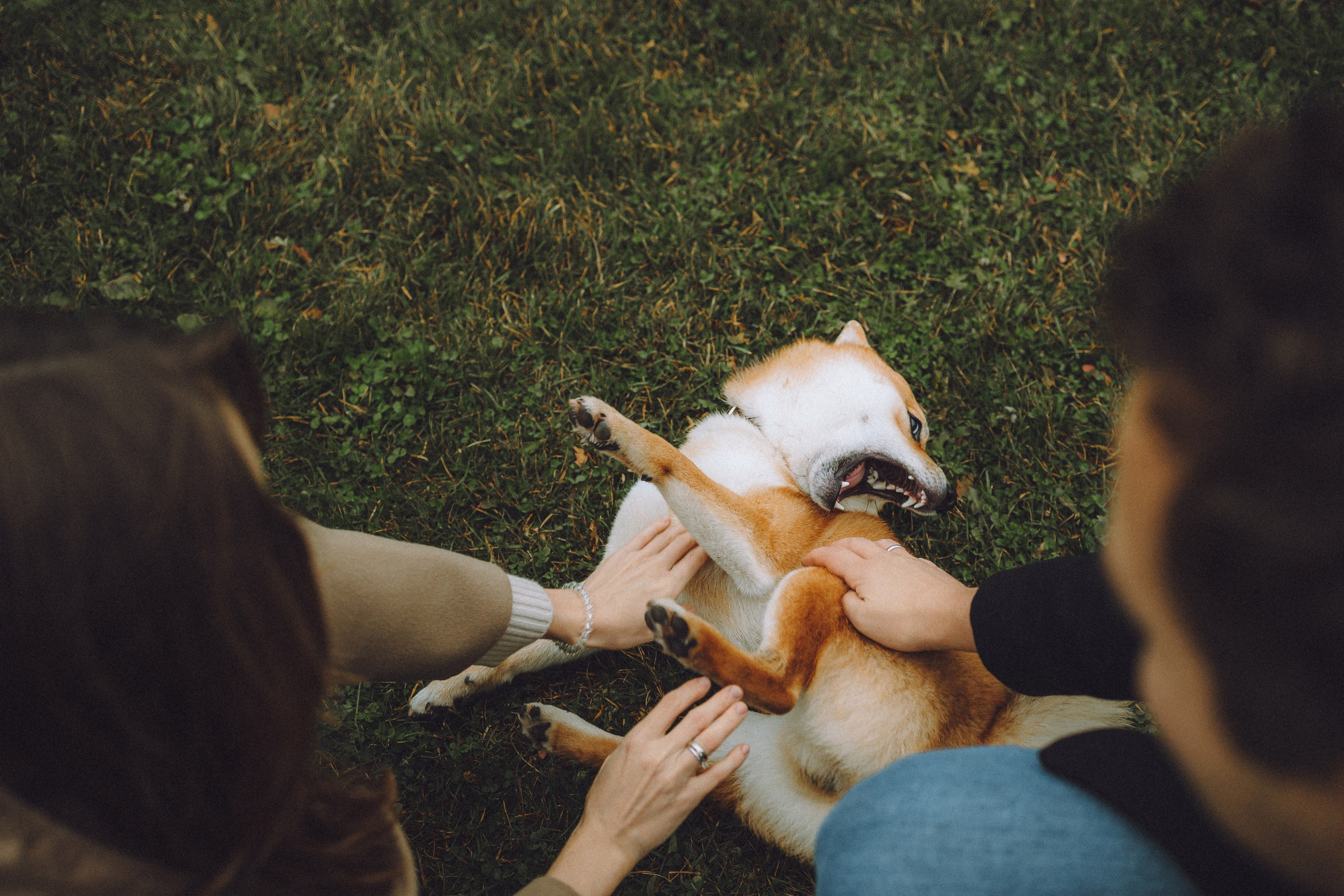 Настя, Юра и Скай
