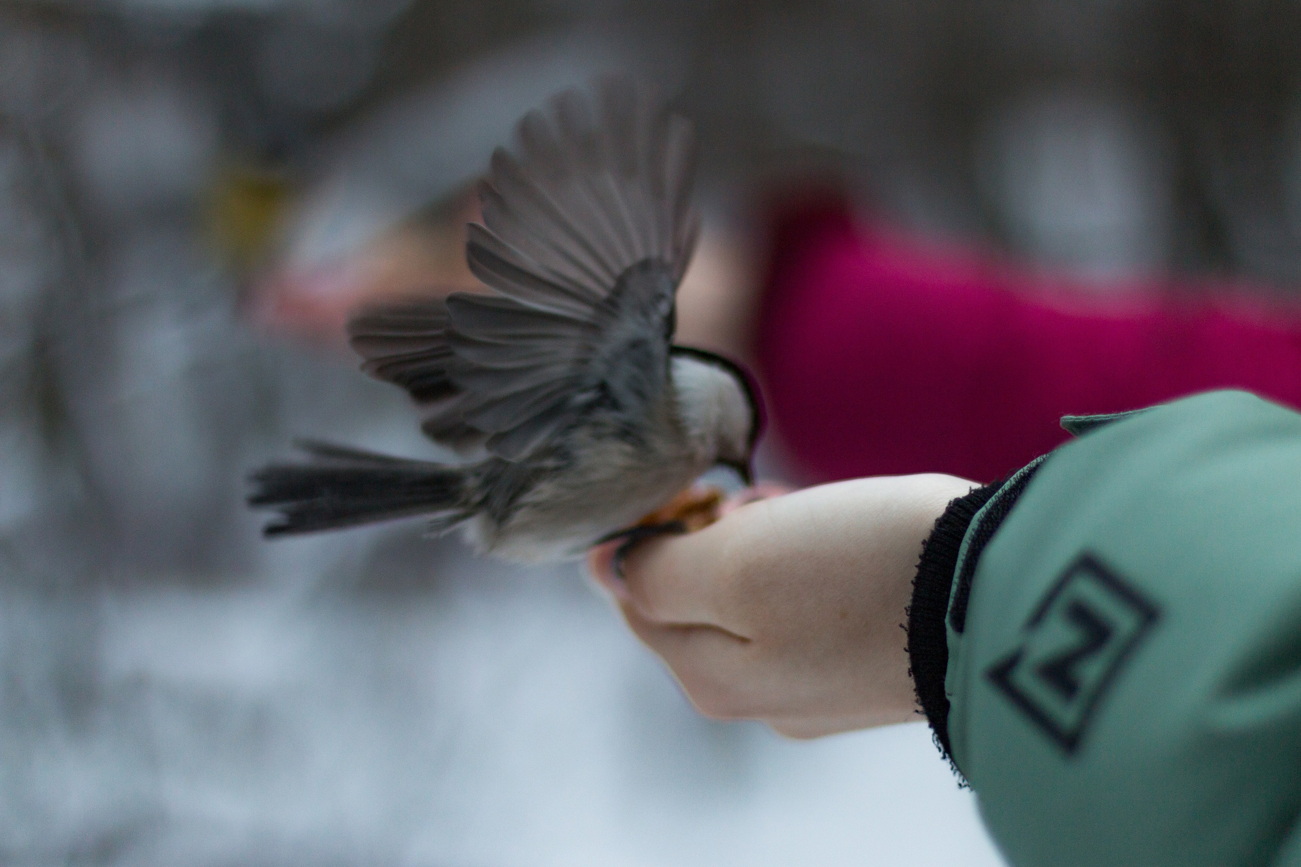 Лиза. Фотограф в Сочи