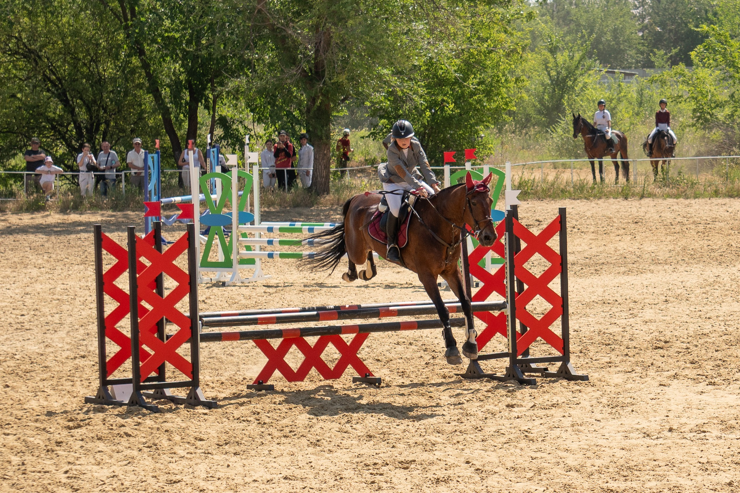 Соревнования по конкуру, Луганск. Фотограф в РФ и ЛНР Юлия Федосеева