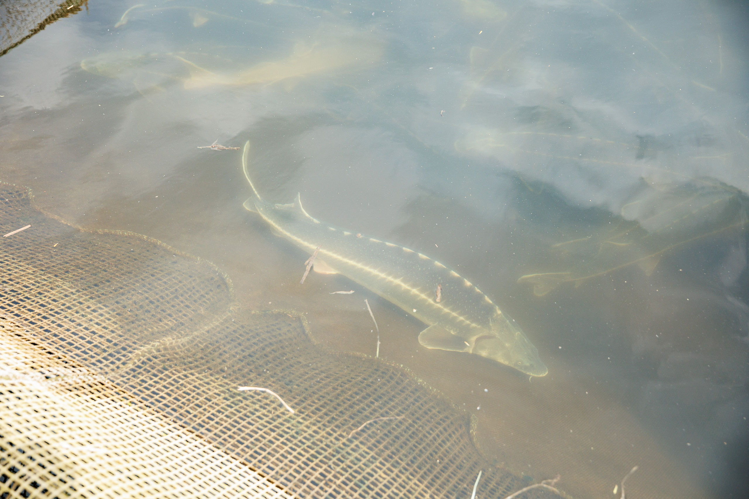 День 2. Конференция. Экскурсия на предприятия + галаужин. Фотограф Шейдаев Эмин г. Волгоград