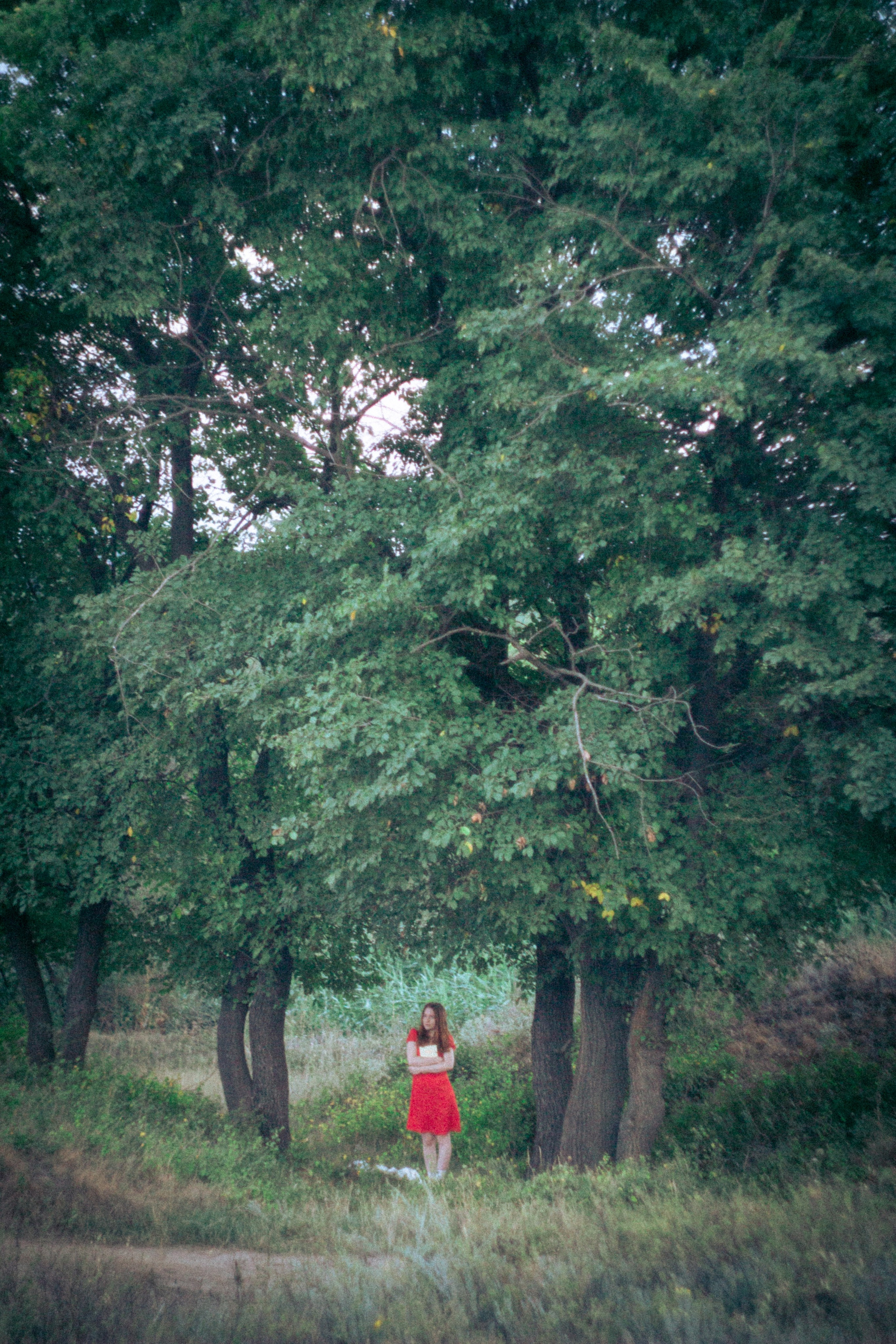 Платье в горошек. • Фотограф Александра Светозар Алчевск •