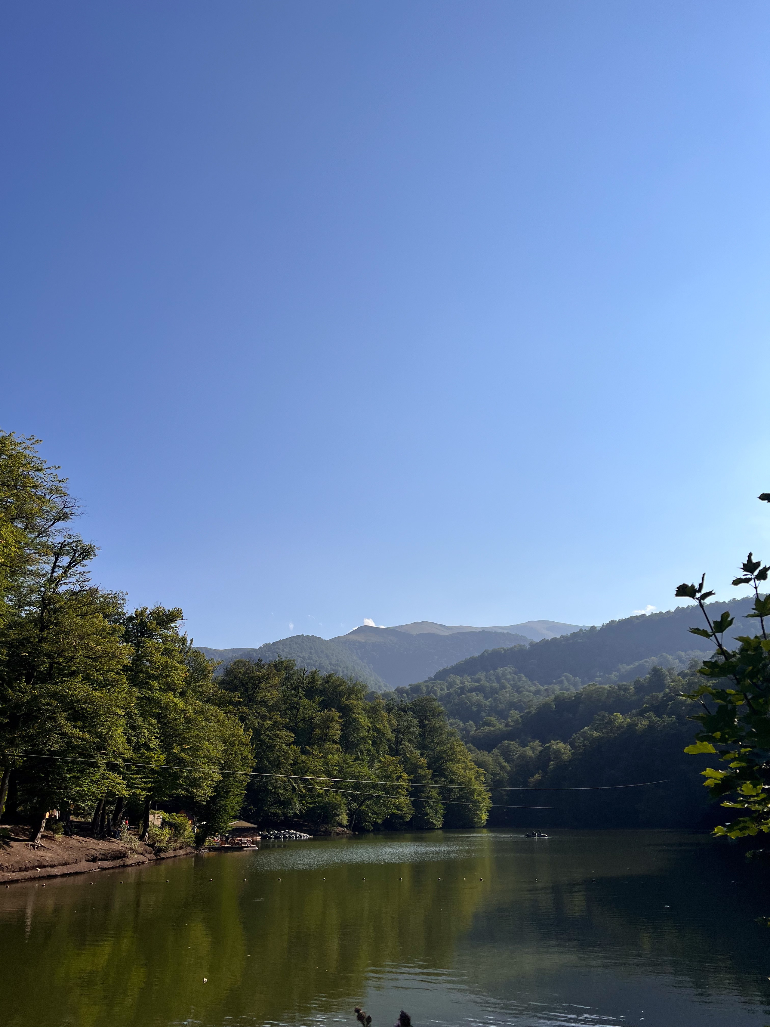 Пресеты. Фотограф в Москве Асиетта