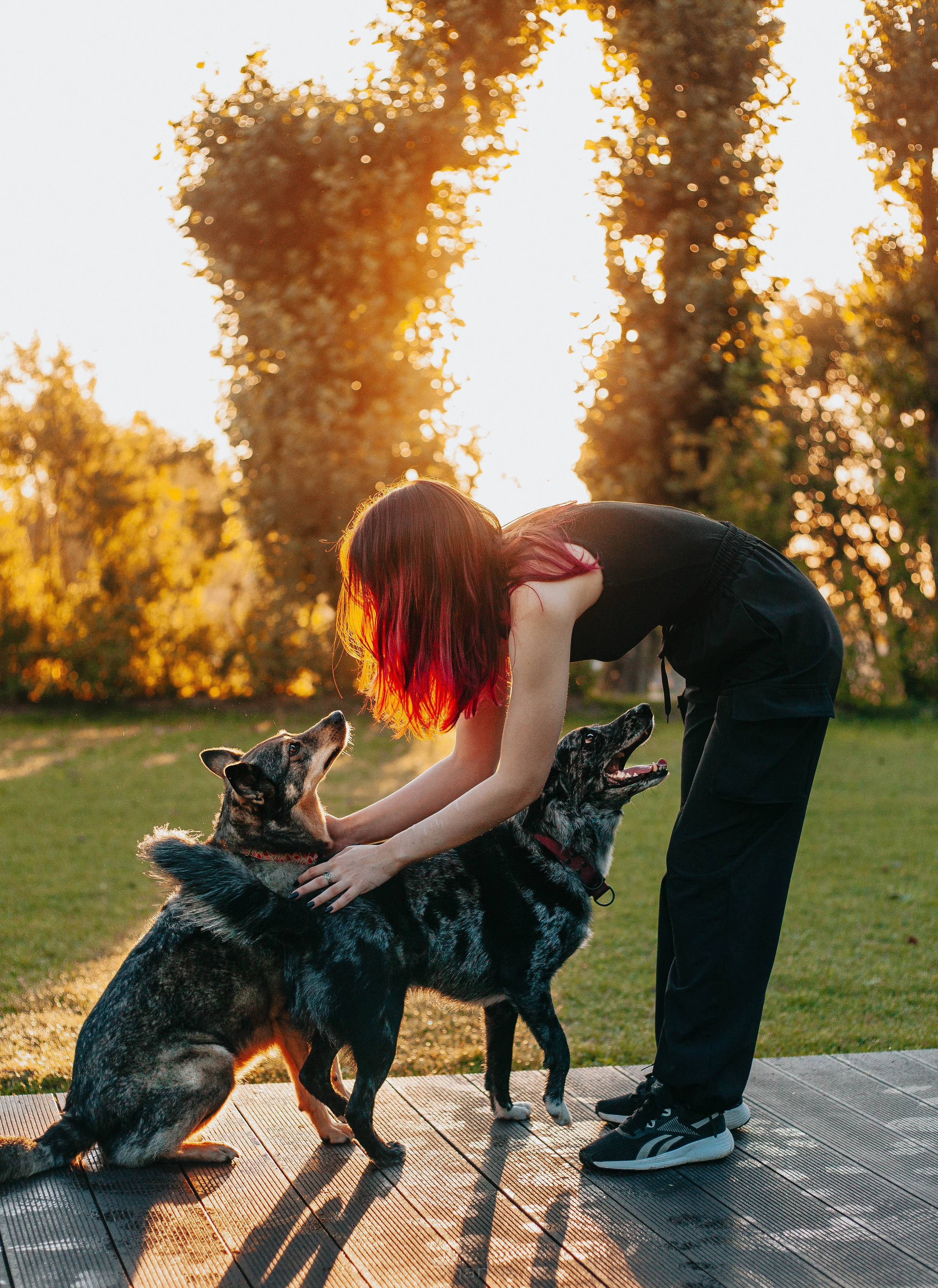 Вега и Гриша. Главная