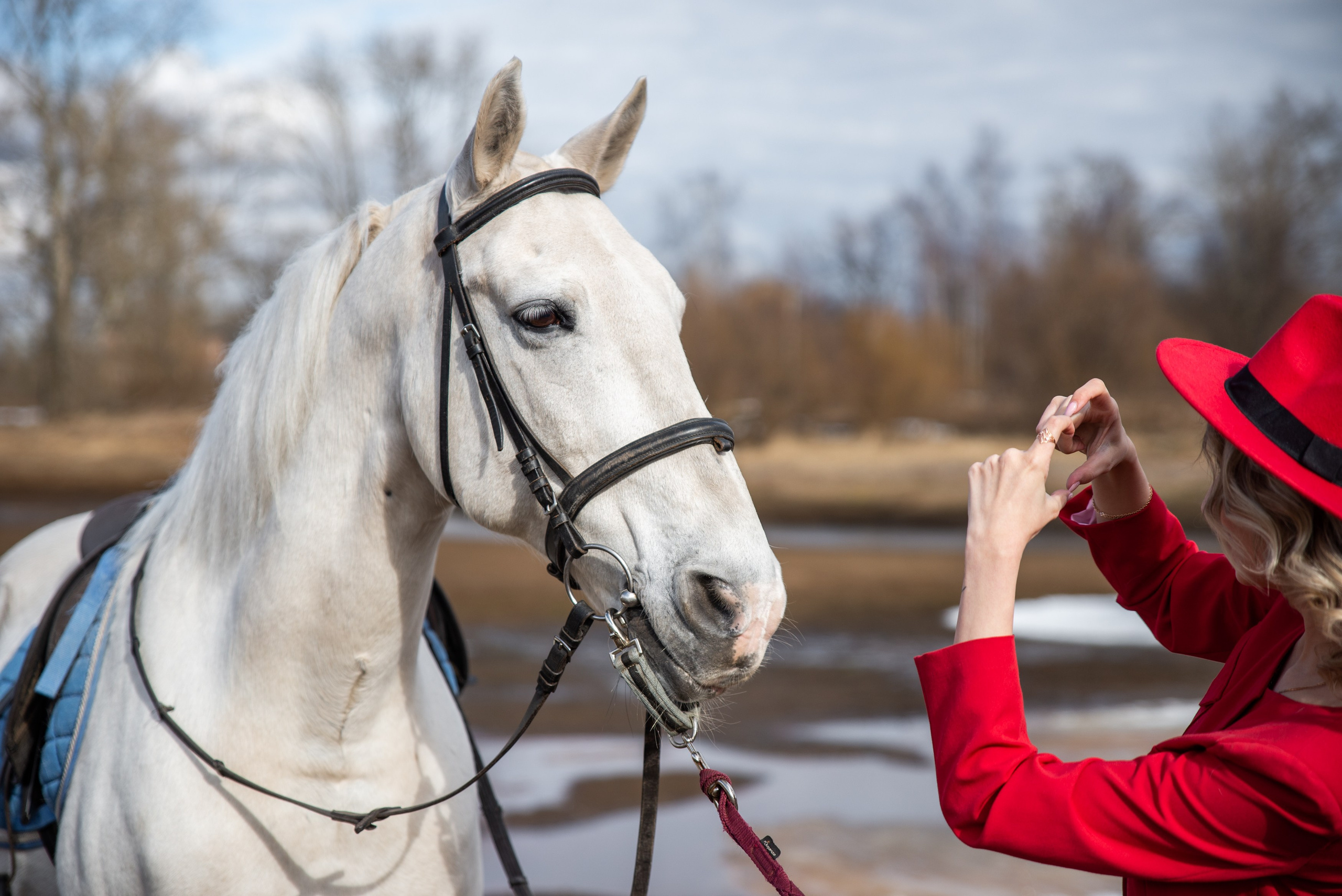 Клавикорд. Свадебный, семейный, репортажный фотограф в Перми и крае Таня Белая