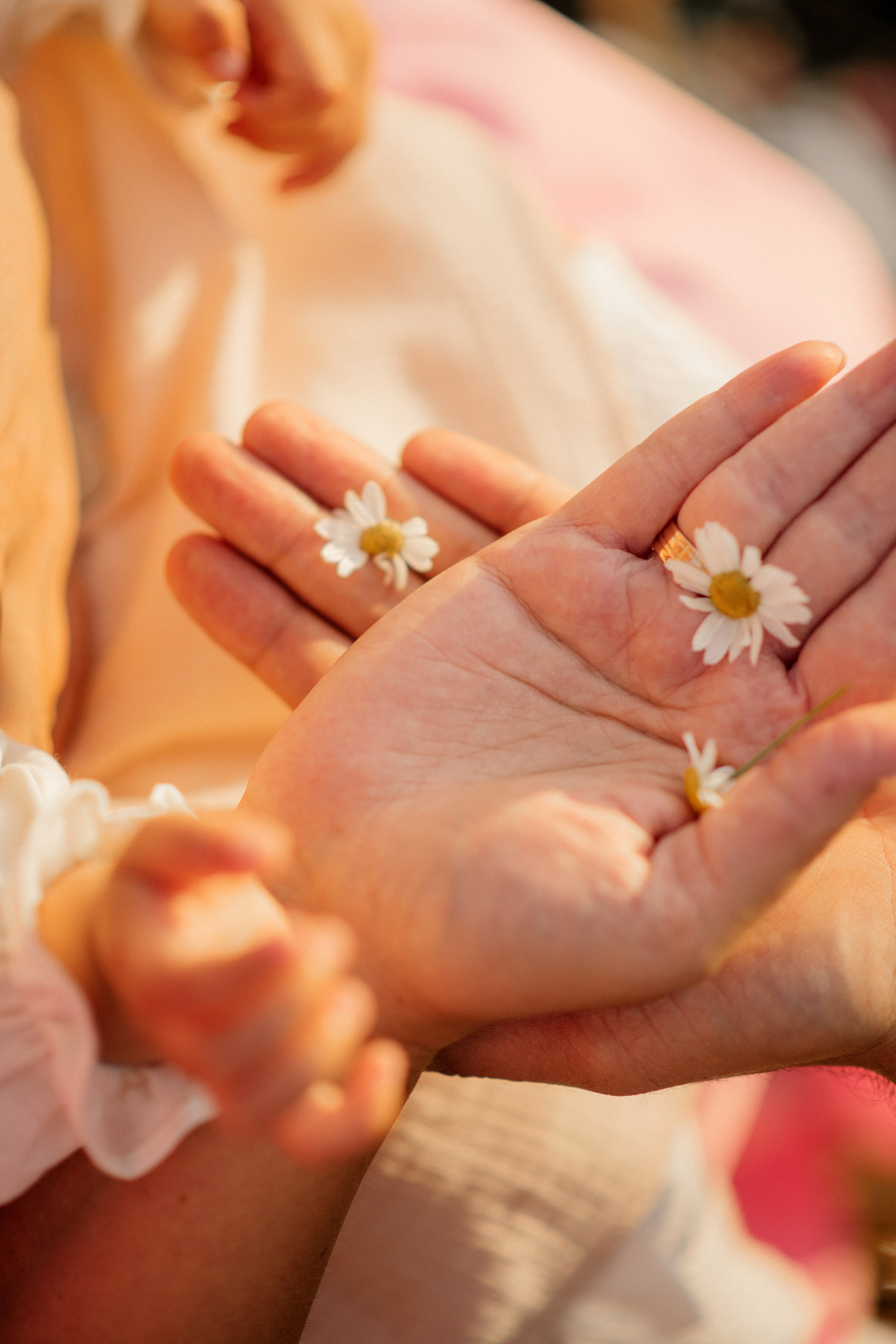 Семейные съемки. Главная