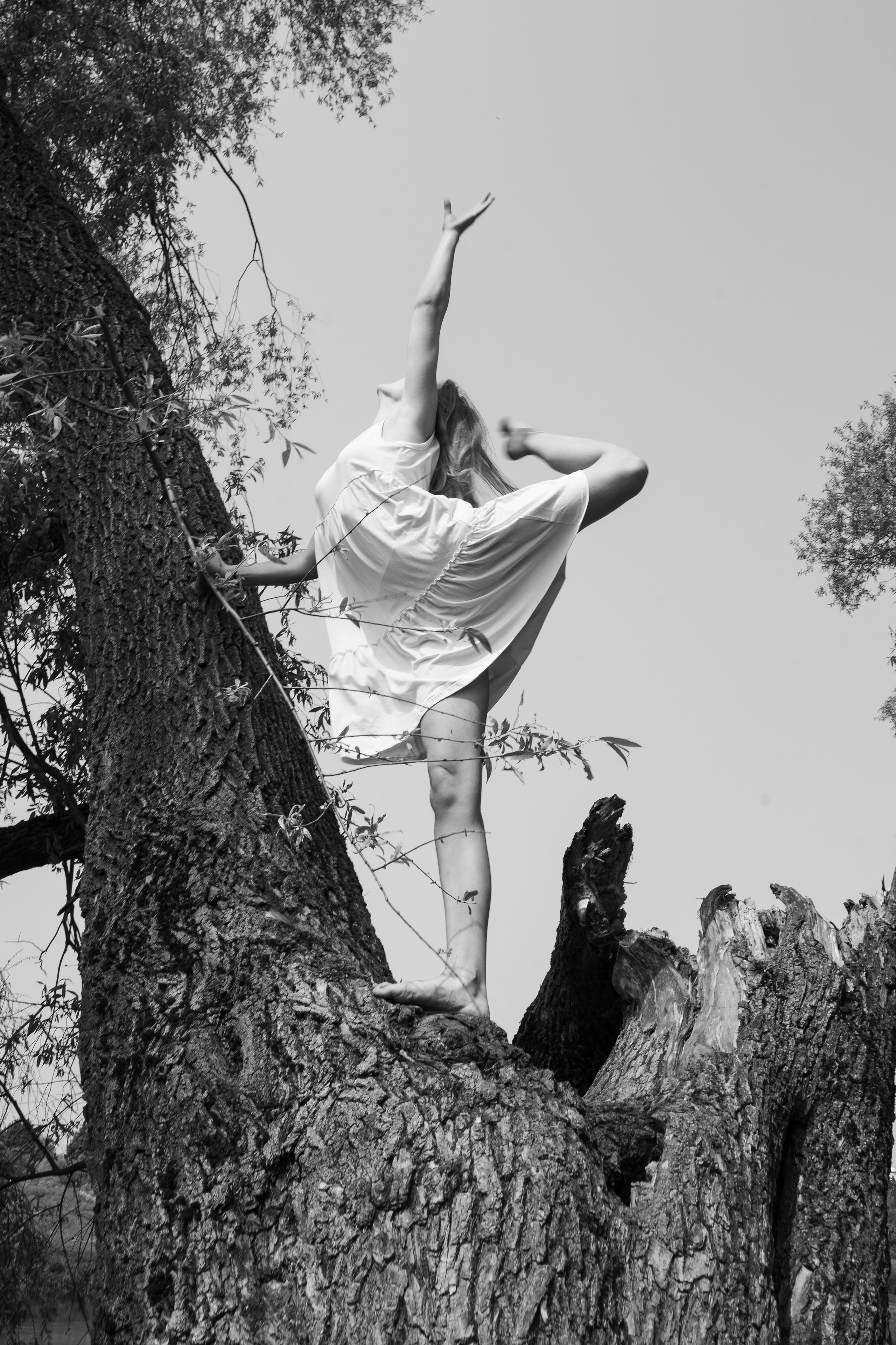 Творчество. Дмитрий Шуйский, фотограф