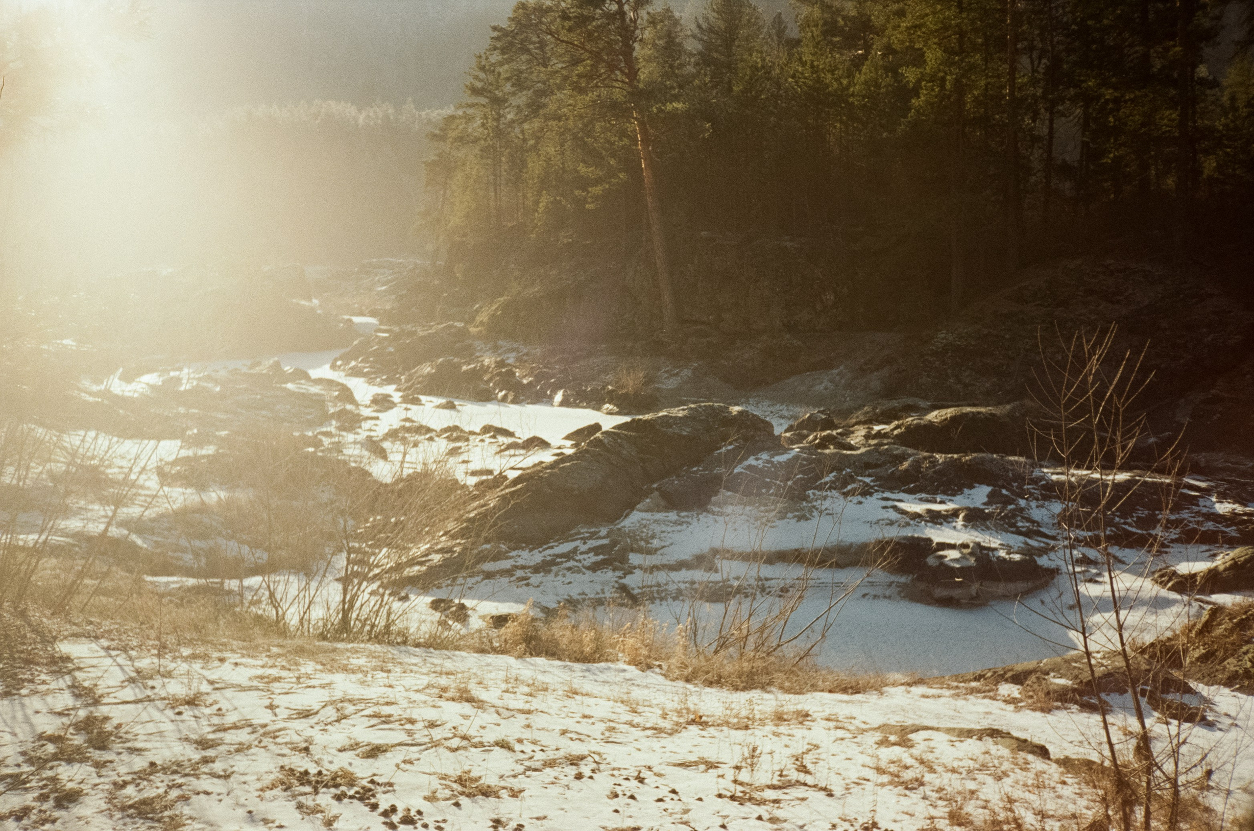 Дорога до Coffee Bus по Чемальскому тракту и Кедровый остров. Фотограф-документалист Мария Осокина