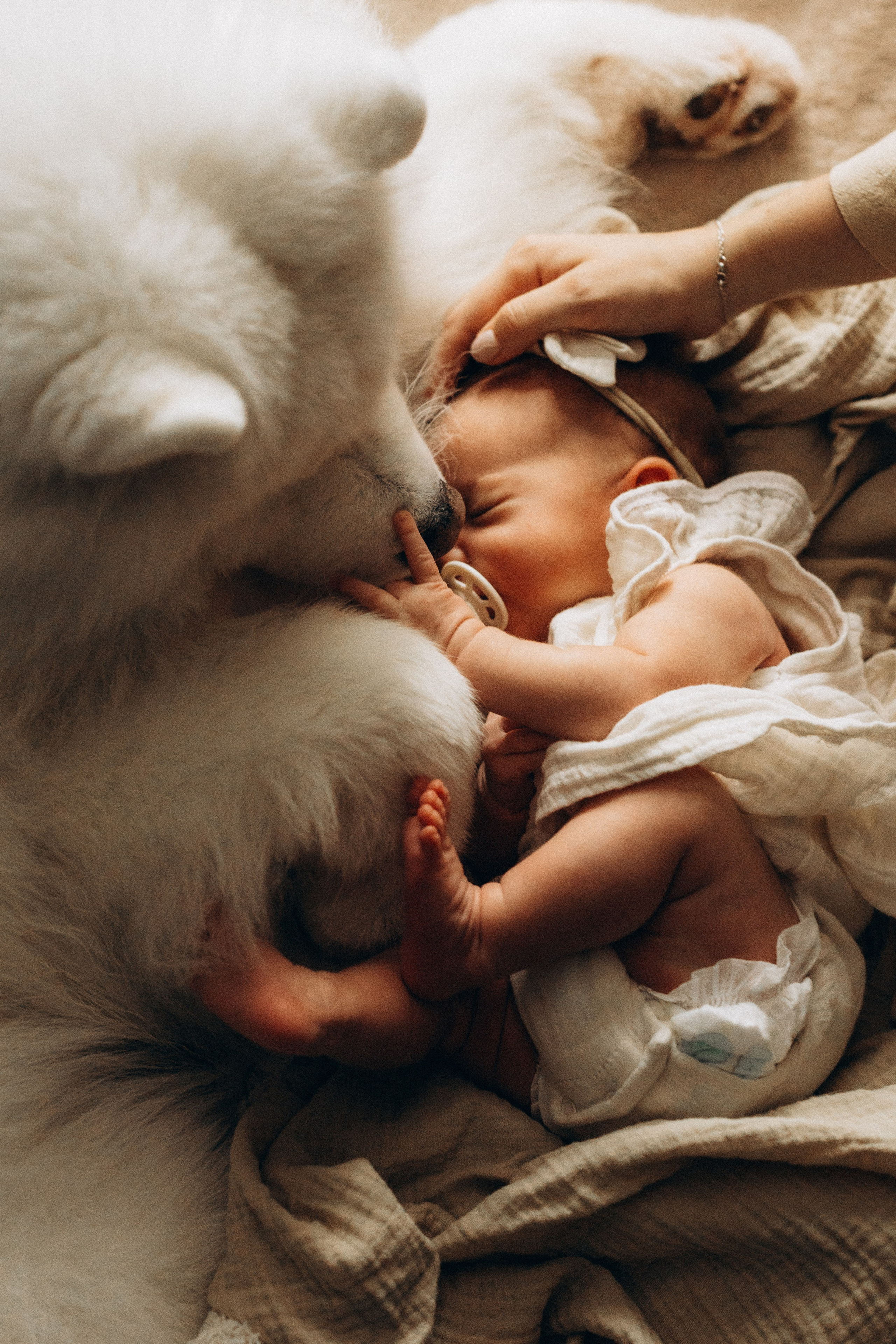 Василиса. Евгения Пелипас