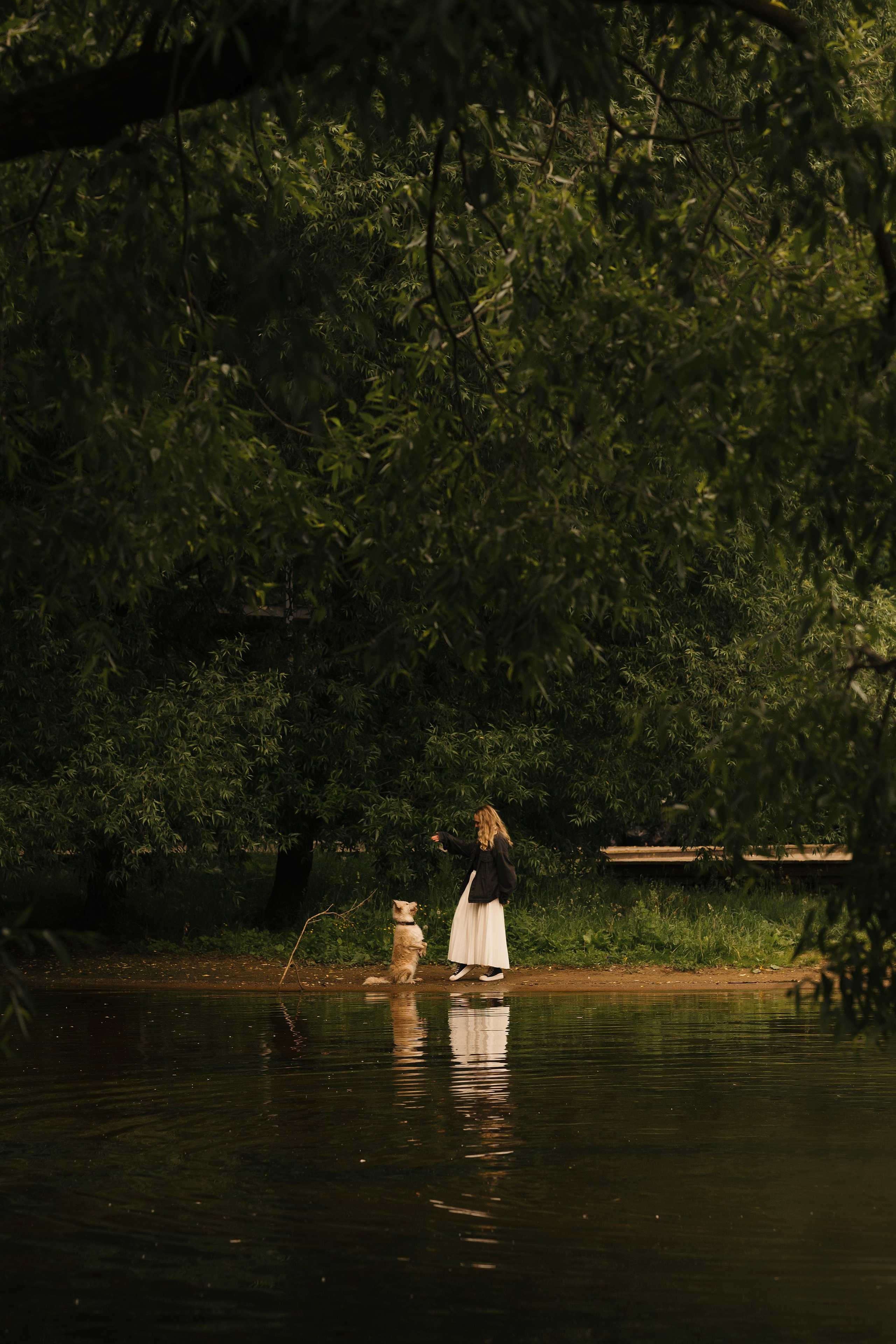 Акиро и Йоши. Фотограф- анималист Александра Матвеева