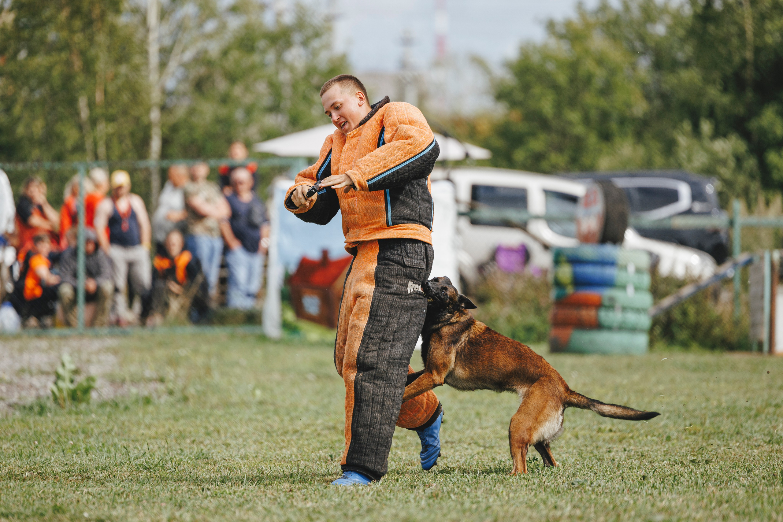 08.08.25-10.08.25 ЧР по мондьорингу г. Вологда. Фотограф-анималист Анна Маринич