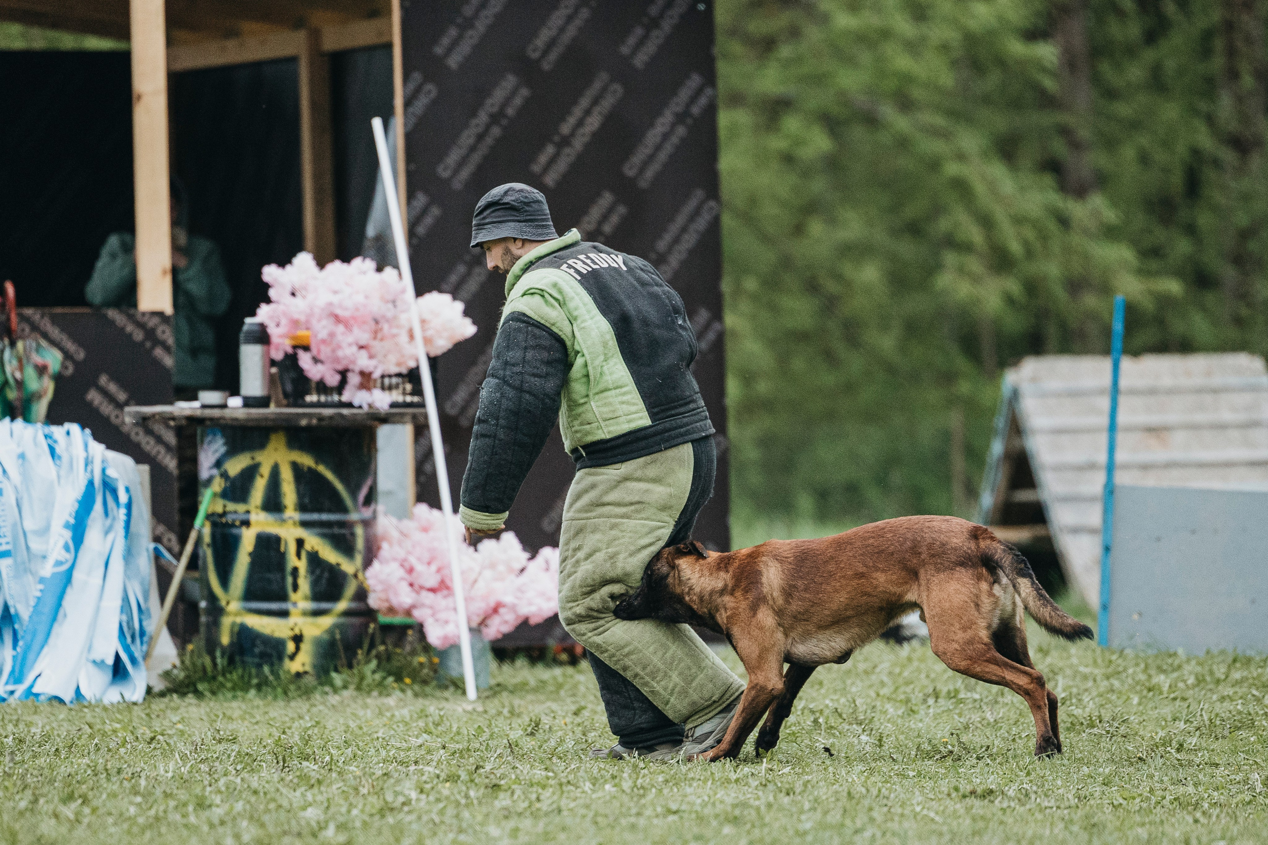 26.05.25 г. Пушкин квалификационные соревнования. Фотограф-анималист Анна Маринич