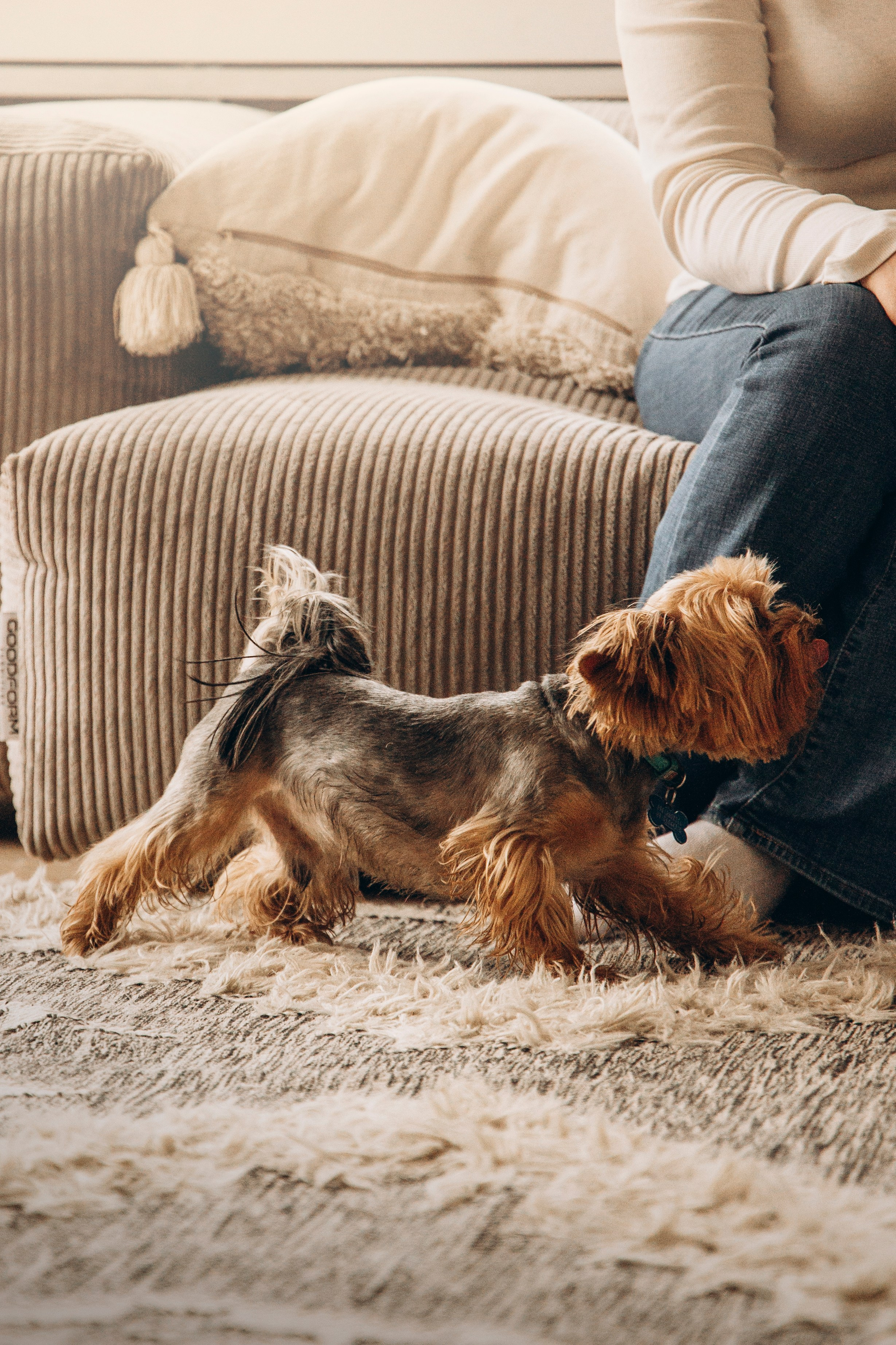 Аня и ее семья. Фотограф — Анималист | Санкт-Петербург