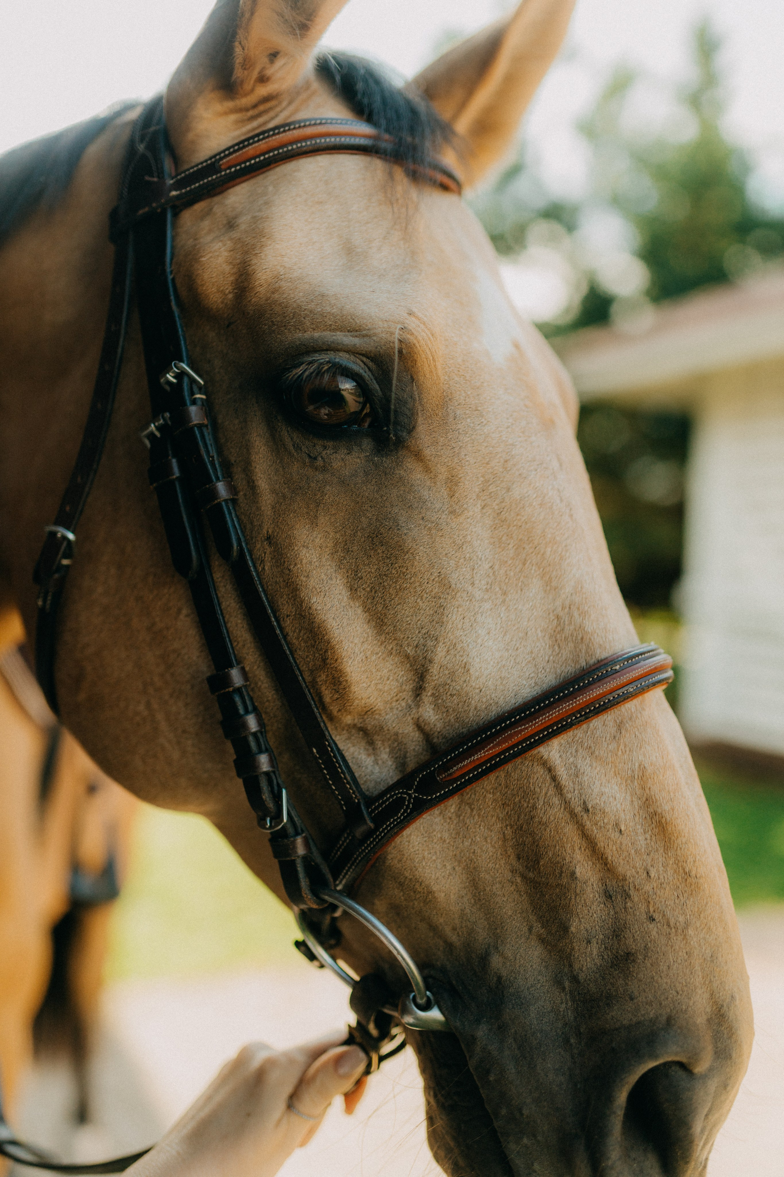 Светлана. Фотограф НОГИНСК, Москва, Анастасия Белая